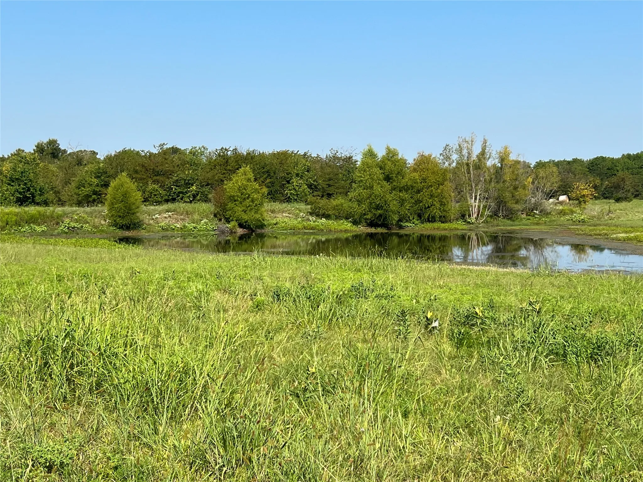 View of woods with a water view