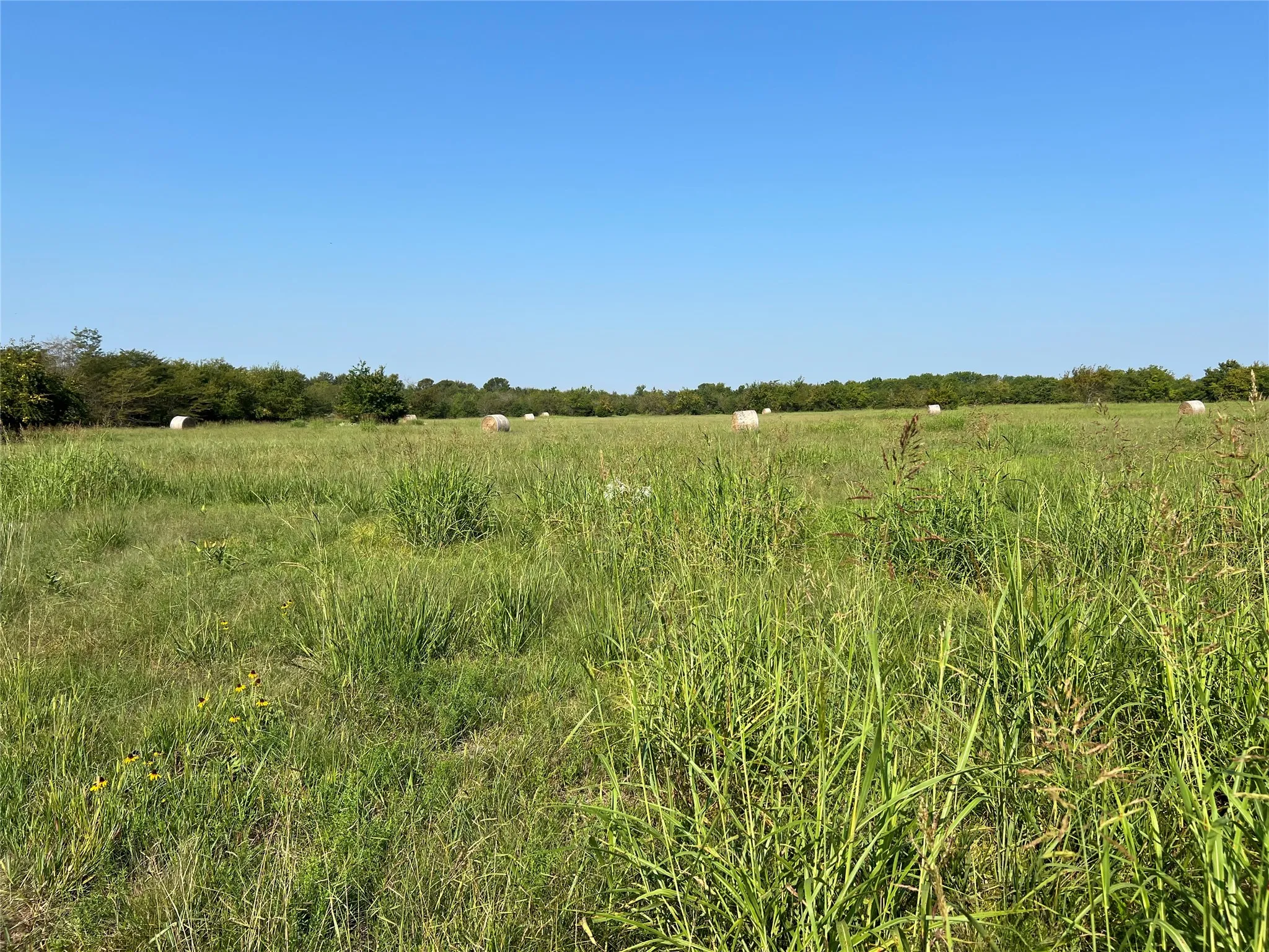 View of nature featuring rural landscape
