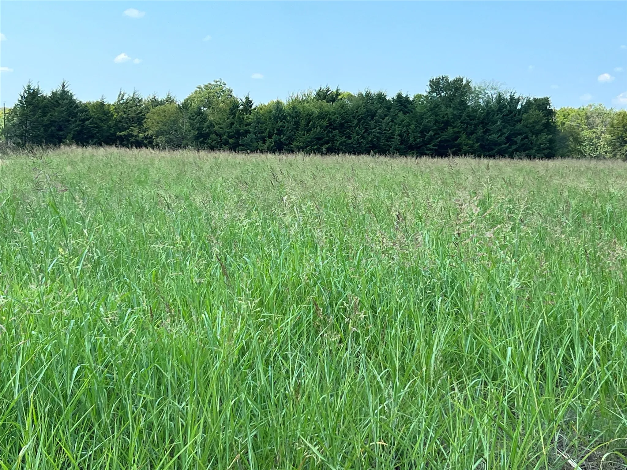 View of local wilderness with rural landscape