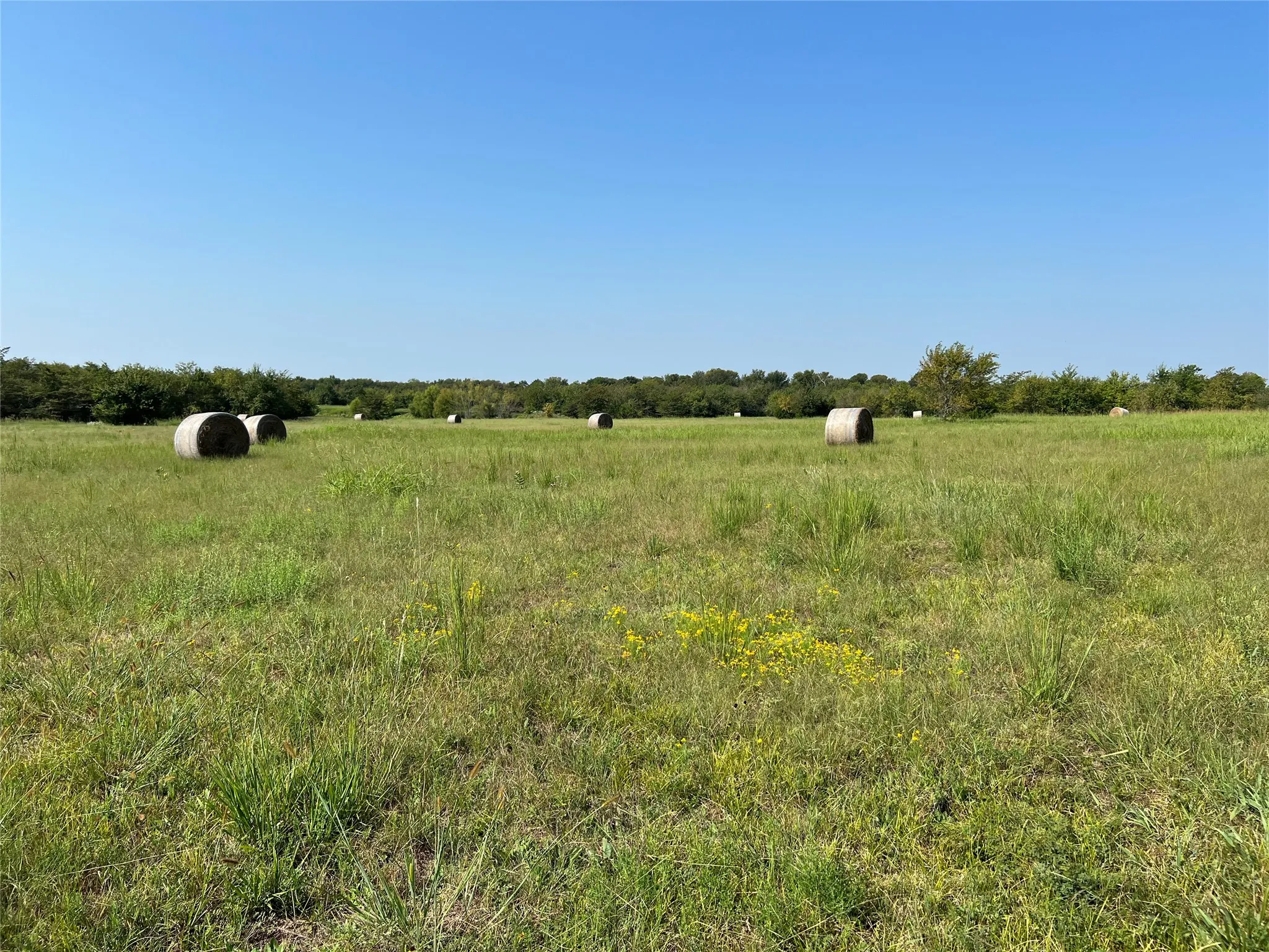 View of undeveloped land featuring rural landscape