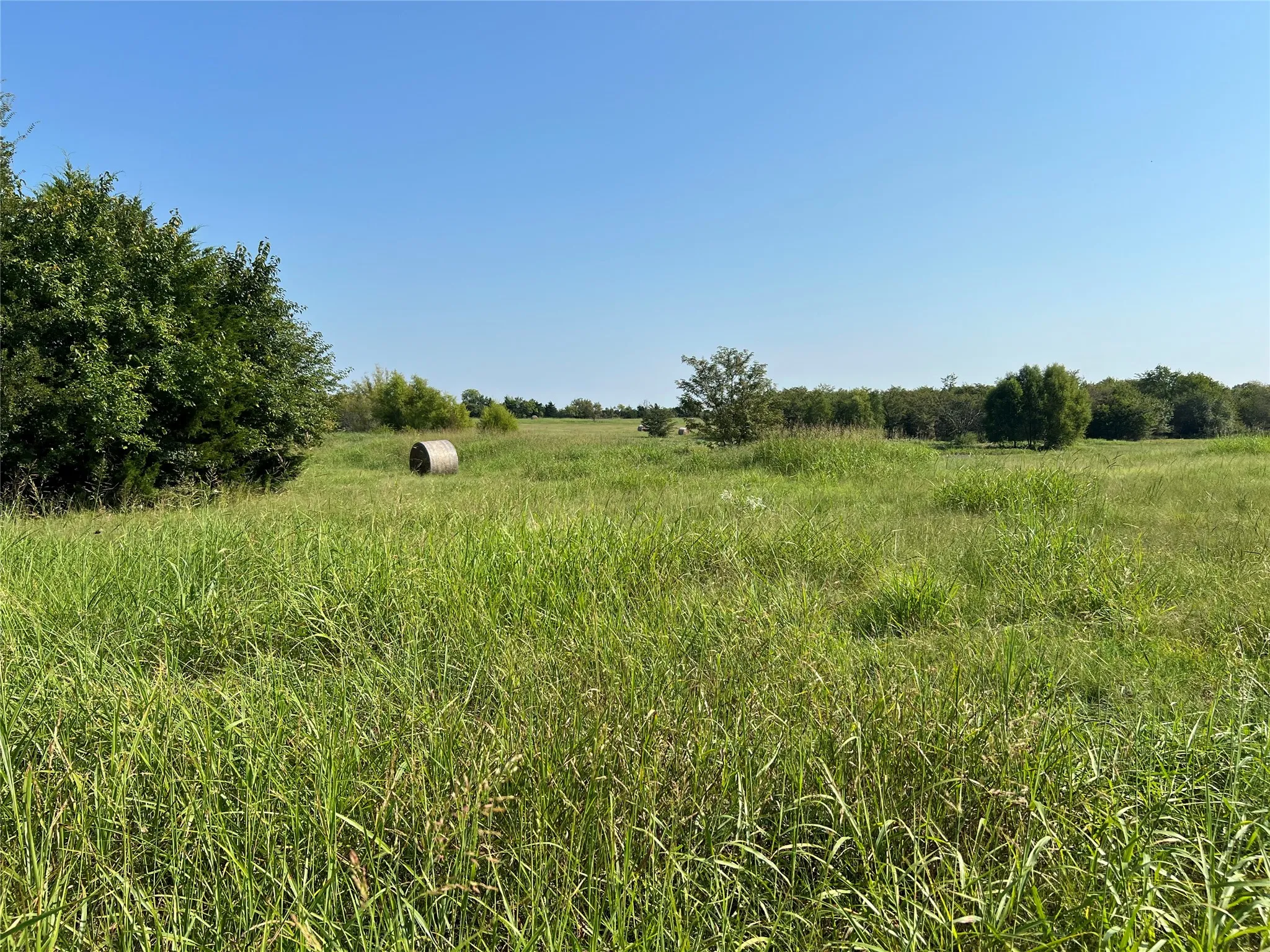 View of local wilderness featuring rural landscape