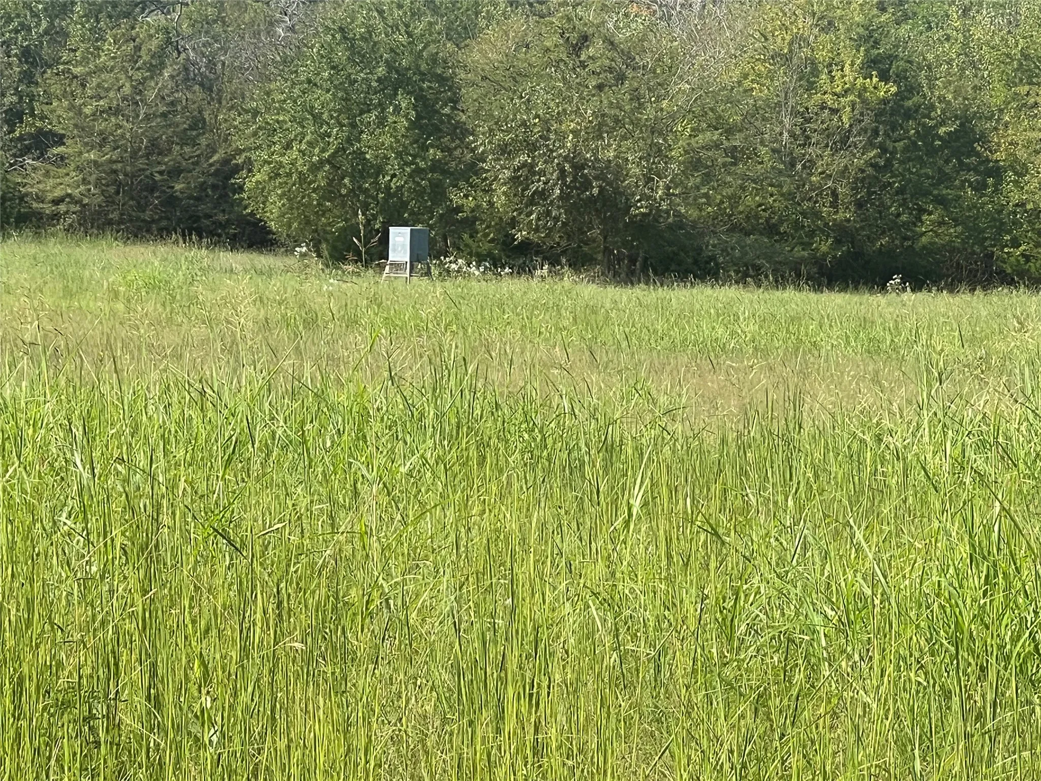 View of nature