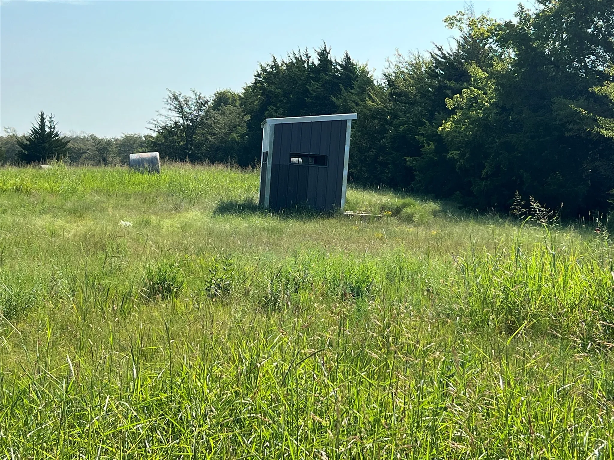 View of yard with a storage unit