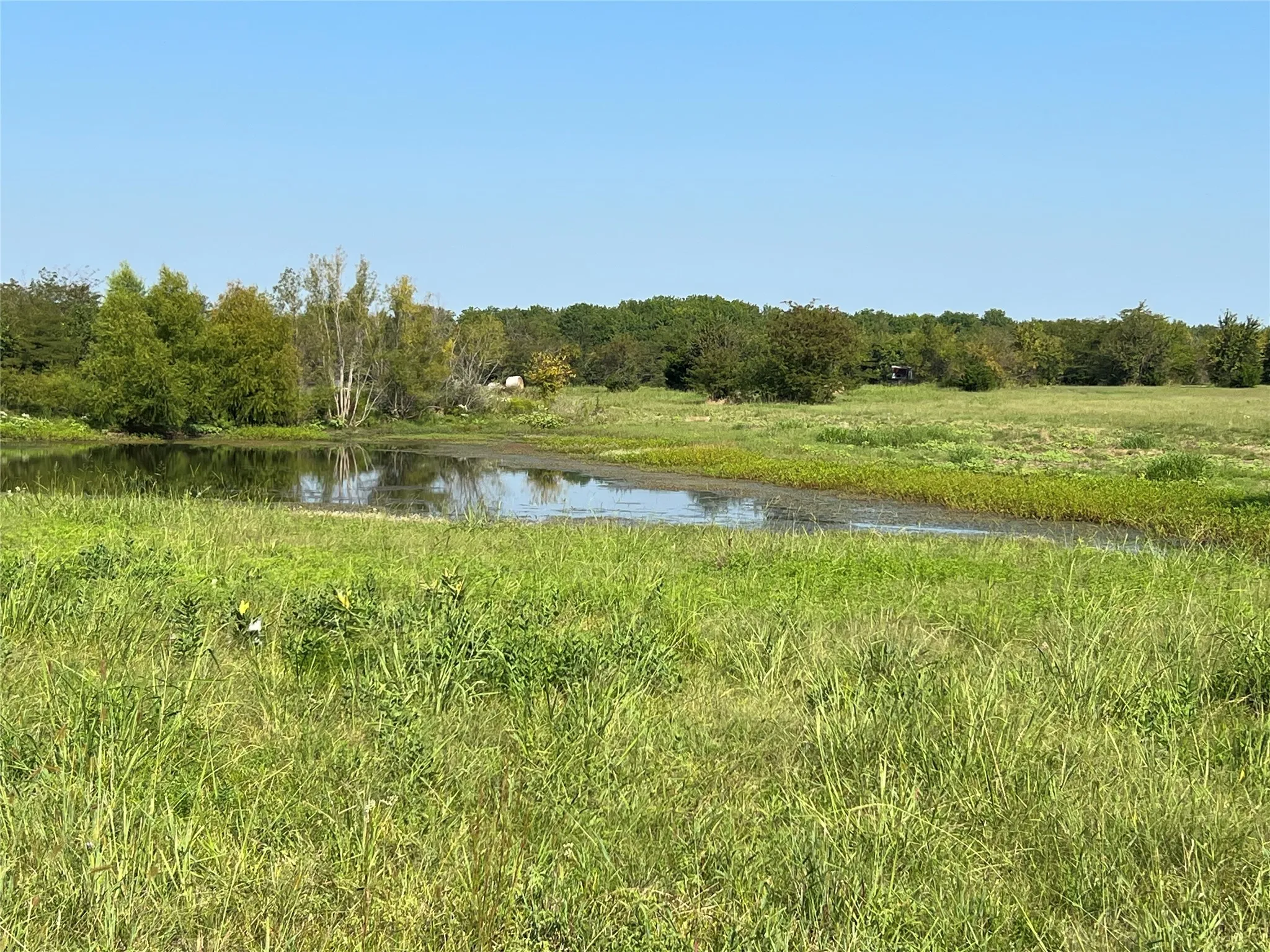 Unimproved Land For Sale in Delta County , TBD County Road 4145, Cooper, Texas 75432, 0, 0, Garage spaces, 0 Sqft, built in 0, mls#21082063, Real Estate Agent in Cooper, Homes For Sale in Delta county, Homes For Sale in Cooper, Realtor in Cooper Texas, Real Estate Brokerage Independent Realty Texas, Luminita Cordes Realtor