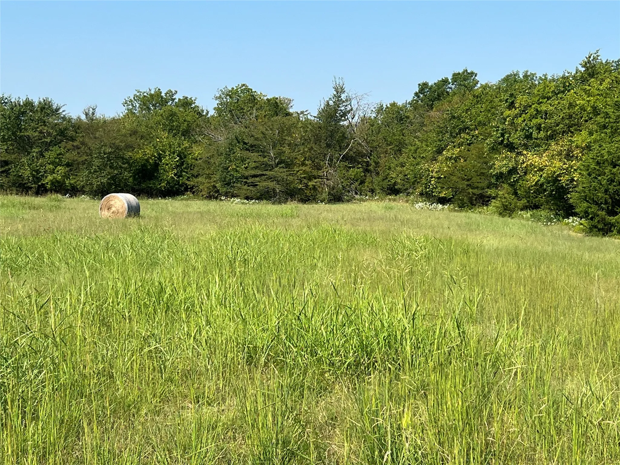 View of local wilderness featuring rural landscape