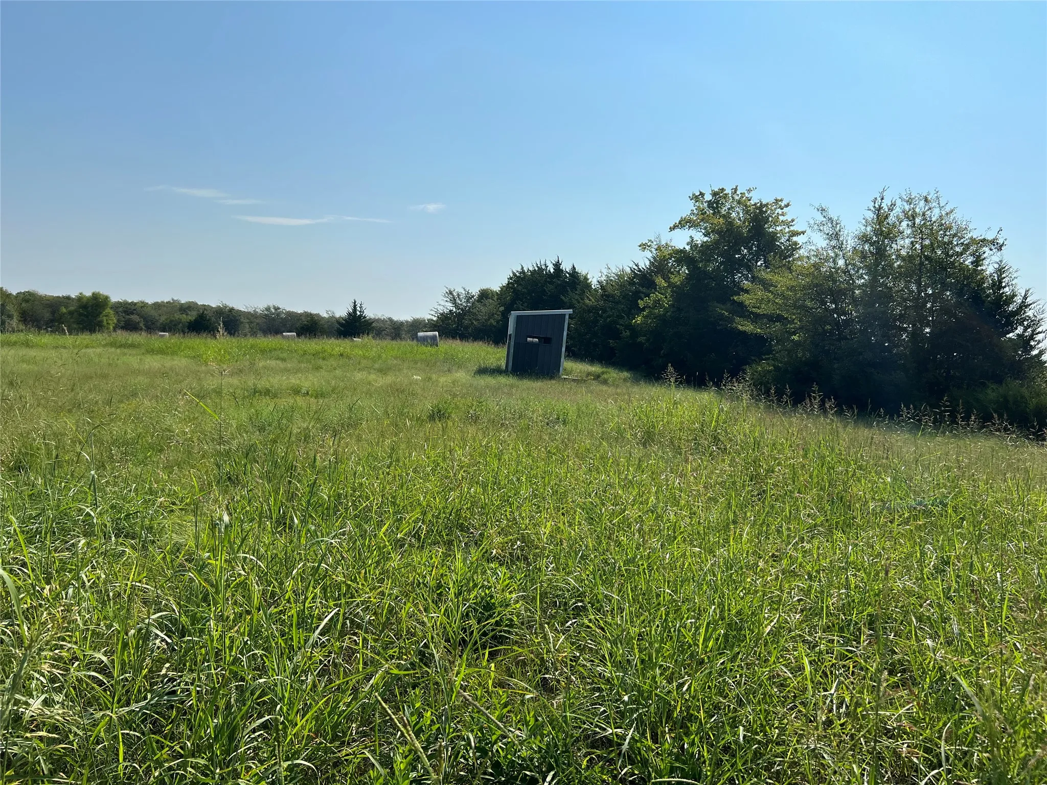 View of yard with a rural view