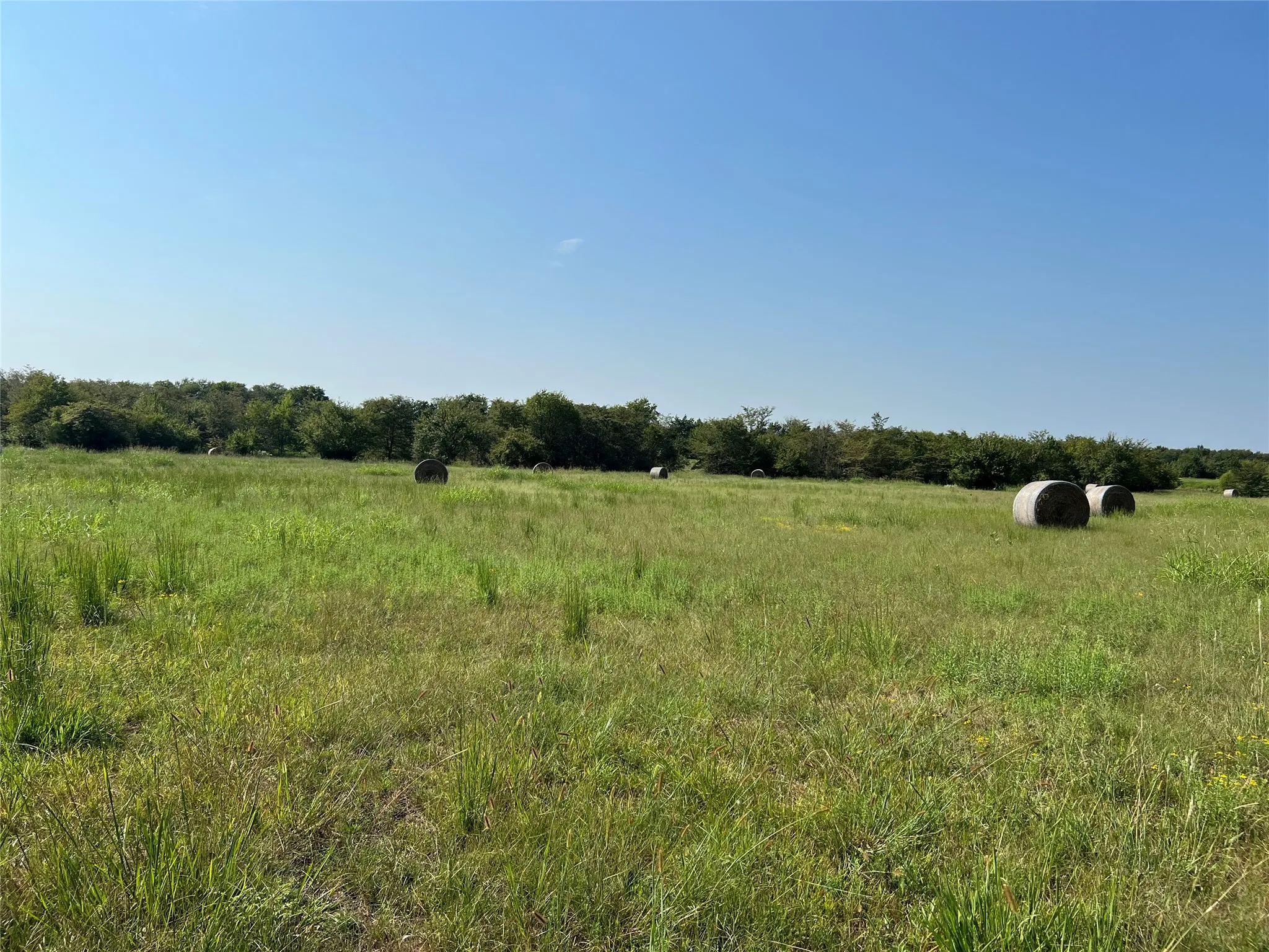 View of local wilderness with rural landscape