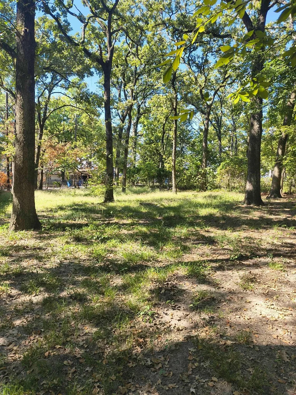 Unimproved Land For Sale in Henderson County , 0 TBD Harbor Drive, Gun Barrel City, Texas 75156, 0, 0, Garage spaces, 0 Sqft, built in 0, mls#21078880, Real Estate Agent in Gun Barrel City, Homes For Sale in Henderson county, Homes For Sale in Gun Barrel City, Realtor in Gun Barrel City Texas, Real Estate Brokerage Independent Realty Texas, Luminita Cordes Realtor