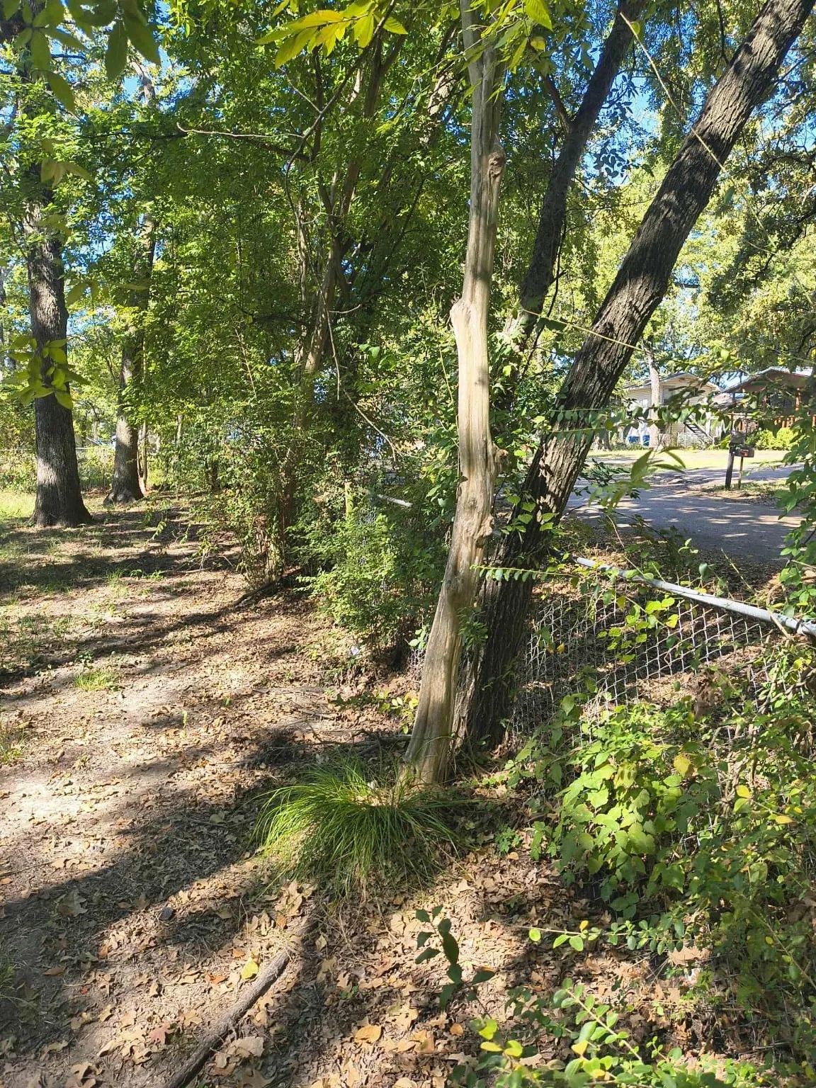 Unimproved Land For Sale in Henderson County , 0 TBD Harbor Drive, Gun Barrel City, Texas 75156, 0, 0, Garage spaces, 0 Sqft, built in 0, mls#21078880, Real Estate Agent in Gun Barrel City, Homes For Sale in Henderson county, Homes For Sale in Gun Barrel City, Realtor in Gun Barrel City Texas, Real Estate Brokerage Independent Realty Texas, Luminita Cordes Realtor