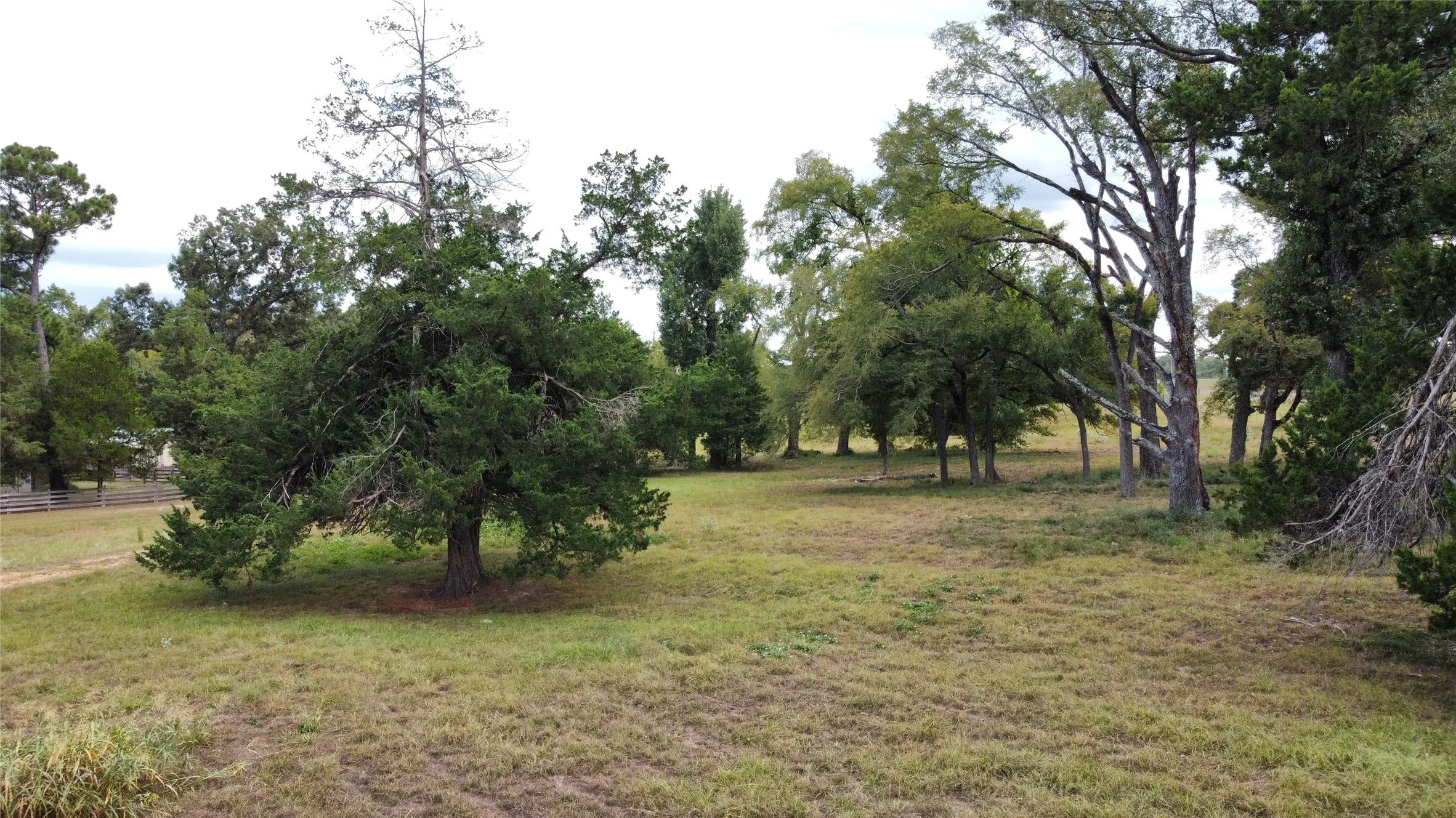 Improved Land For Sale in Leon County , I-45 Frontage Rd., Buffalo, Texas 75831, 0, 0, Garage spaces, 0 Sqft, built in 0, mls#21082648, Real Estate Agent in Buffalo, Homes For Sale in Leon county, Homes For Sale in Buffalo, Realtor in Buffalo Texas, Real Estate Brokerage Independent Realty Texas, Luminita Cordes Realtor