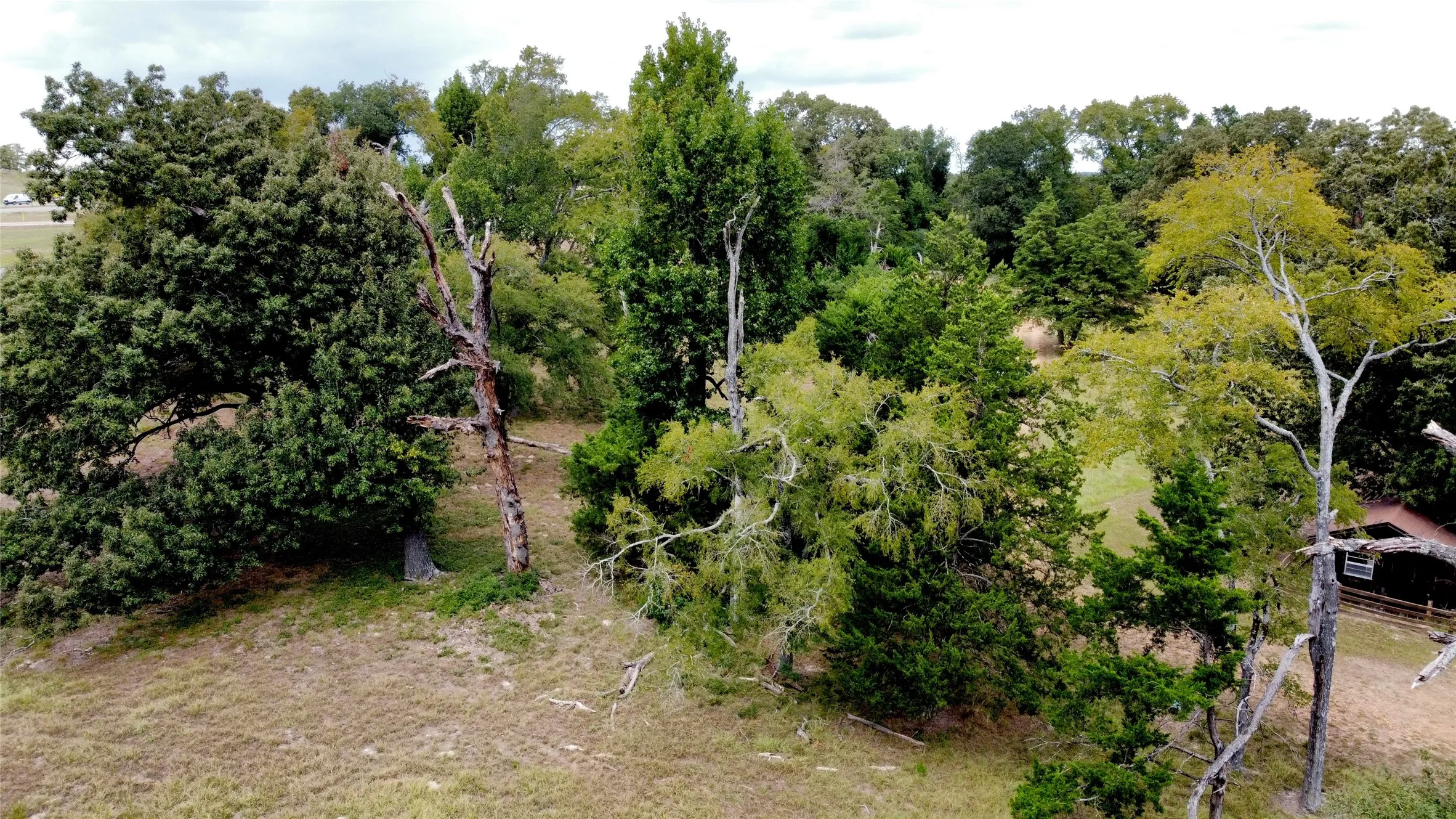 Improved Land For Sale in Leon County , I-45 Frontage Rd., Buffalo, Texas 75831, 0, 0, Garage spaces, 0 Sqft, built in 0, mls#21082648, Real Estate Agent in Buffalo, Homes For Sale in Leon county, Homes For Sale in Buffalo, Realtor in Buffalo Texas, Real Estate Brokerage Independent Realty Texas, Luminita Cordes Realtor