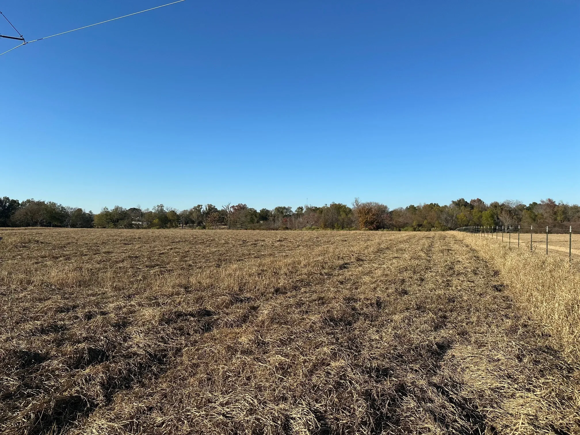 Unimproved Land For Sale in Henderson County , 5517 PR 5107, Athens, Texas 75752, 0, 0, Garage spaces, 0 Sqft, built in 0, mls#21082788, Real Estate Agent in Athens, Homes For Sale in Henderson county, Homes For Sale in Athens, Realtor in Athens Texas, Real Estate Brokerage Independent Realty Texas, Luminita Cordes Realtor