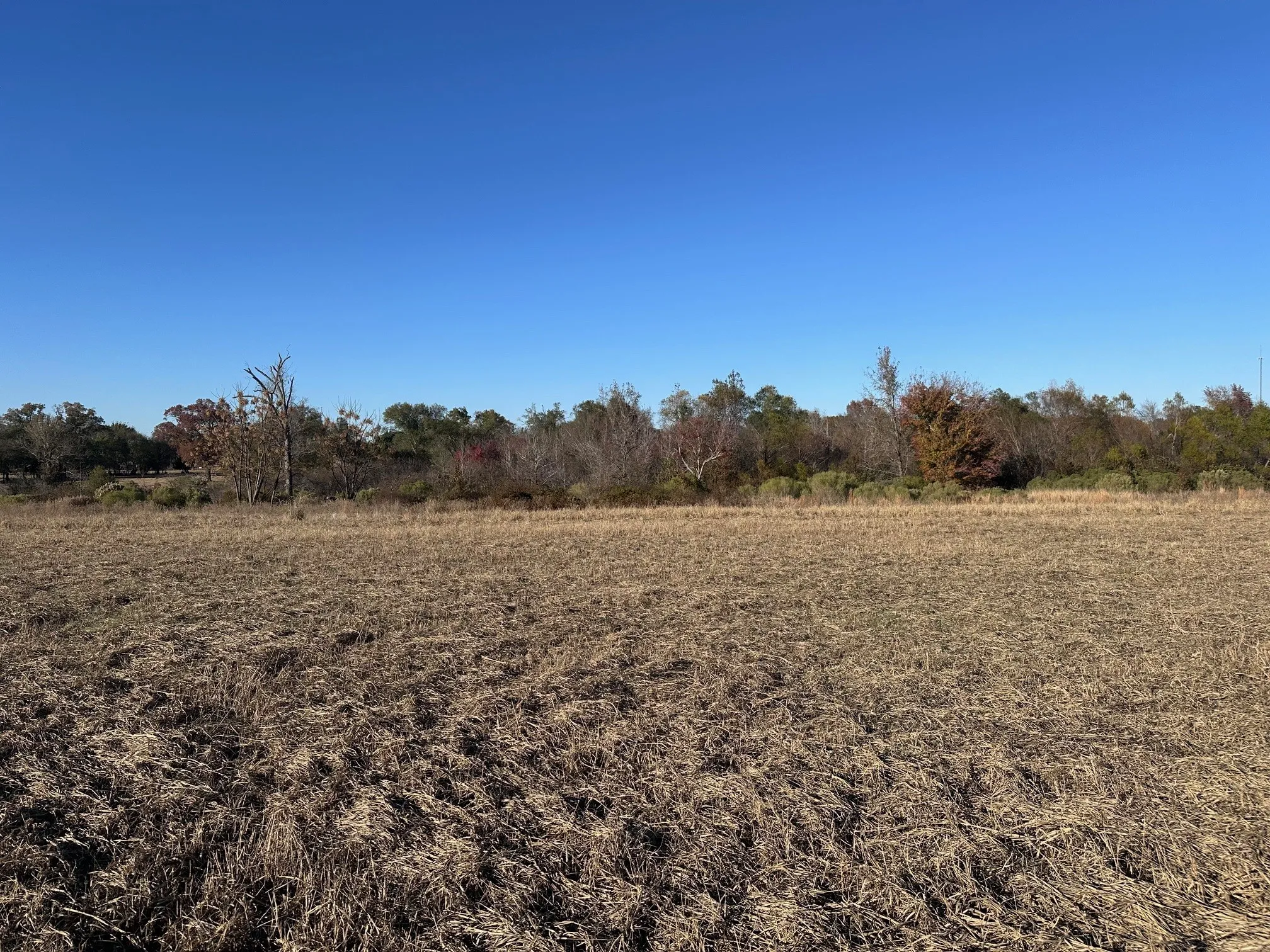 Unimproved Land For Sale in Henderson County , 5517 PR 5107, Athens, Texas 75752, 0, 0, Garage spaces, 0 Sqft, built in 0, mls#21082788, Real Estate Agent in Athens, Homes For Sale in Henderson county, Homes For Sale in Athens, Realtor in Athens Texas, Real Estate Brokerage Independent Realty Texas, Luminita Cordes Realtor