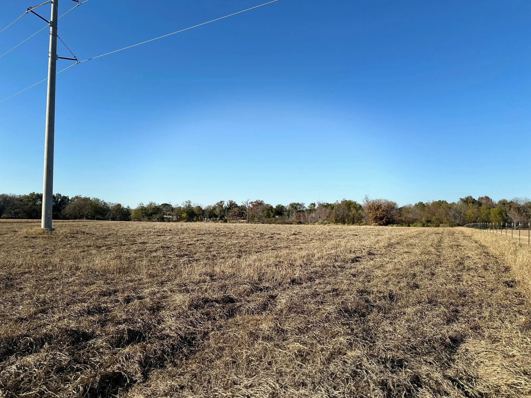 Unimproved Land For Sale in Henderson County , 5517 PR 5107, Athens, Texas 75752, 0, 0, Garage spaces, 0 Sqft, built in 0, mls#21082788, Real Estate Agent in Athens, Homes For Sale in Henderson county, Homes For Sale in Athens, Realtor in Athens Texas, Real Estate Brokerage Independent Realty Texas, Luminita Cordes Realtor