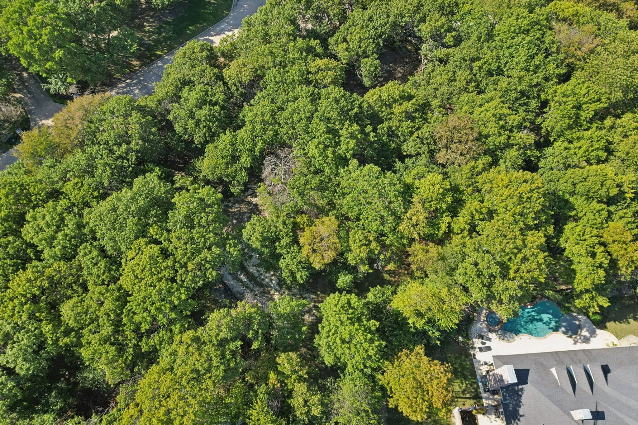 Aerial view from the back of the property