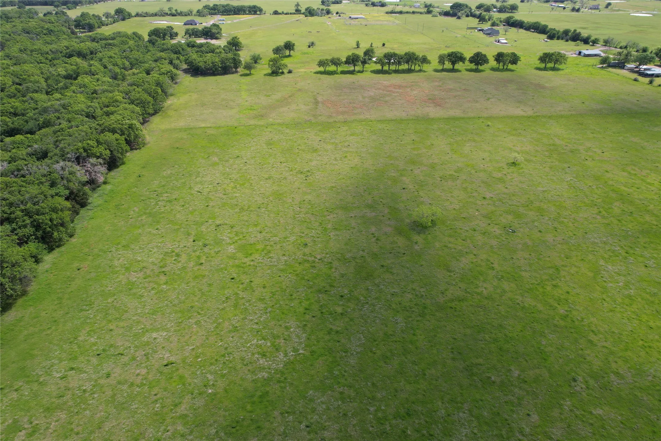 Unimproved Land For Sale in Henderson County , TBD County Road 2147 A, Kemp, Texas 75143, 0, 0, Garage spaces, 0 Sqft, built in 0, mls#21083433, Real Estate Agent in Kemp, Homes For Sale in Henderson county, Homes For Sale in Kemp, Realtor in Kemp Texas, Real Estate Brokerage Independent Realty Texas, Luminita Cordes Realtor
