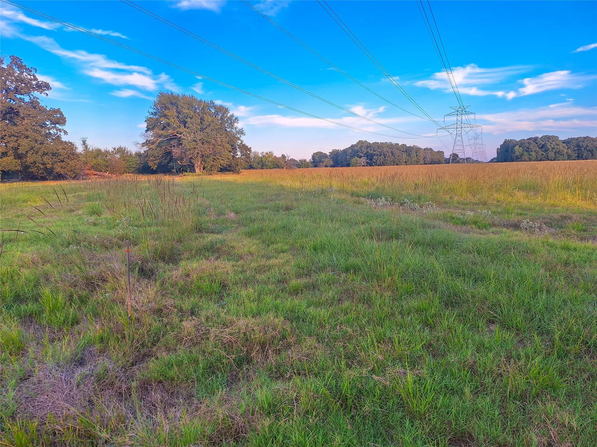Unimproved Land For Sale in Henderson County , TBD County Road 2147 A, Kemp, Texas 75143, 0, 0, Garage spaces, 0 Sqft, built in 0, mls#21083433, Real Estate Agent in Kemp, Homes For Sale in Henderson county, Homes For Sale in Kemp, Realtor in Kemp Texas, Real Estate Brokerage Independent Realty Texas, Luminita Cordes Realtor