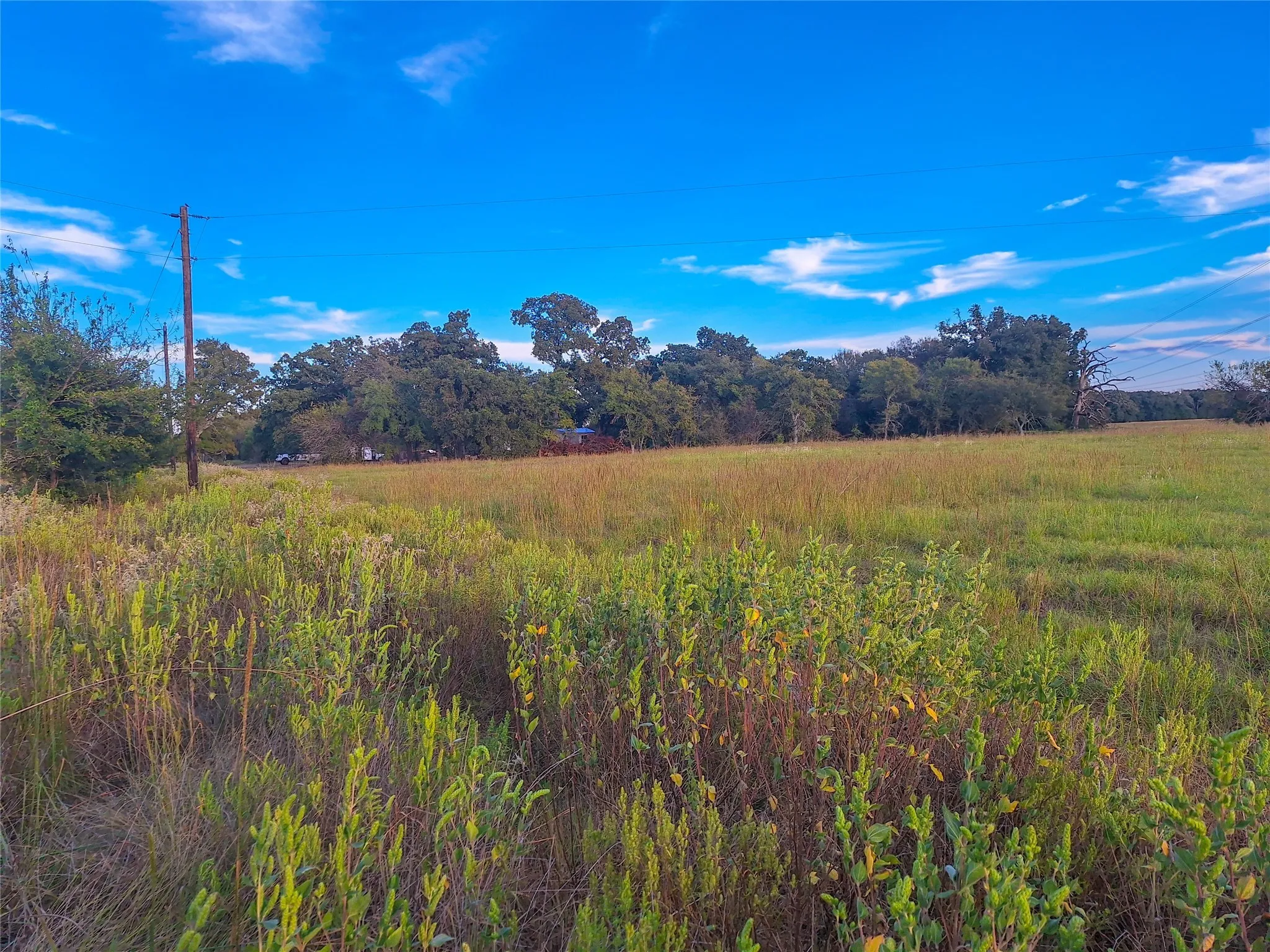 Unimproved Land For Sale in Henderson County , TBD County Road 2147 A, Kemp, Texas 75143, 0, 0, Garage spaces, 0 Sqft, built in 0, mls#21083433, Real Estate Agent in Kemp, Homes For Sale in Henderson county, Homes For Sale in Kemp, Realtor in Kemp Texas, Real Estate Brokerage Independent Realty Texas, Luminita Cordes Realtor