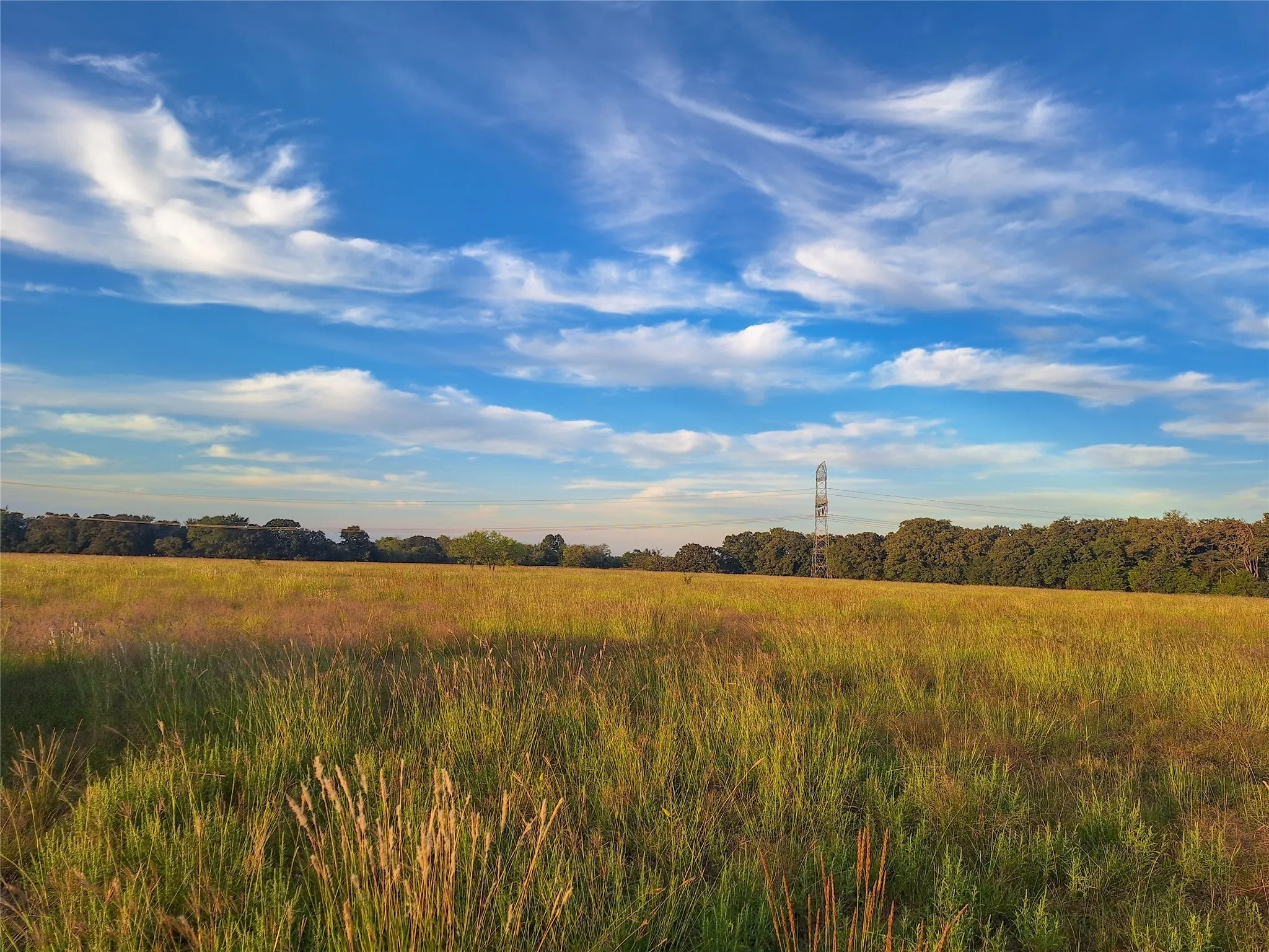 Unimproved Land For Sale in Henderson County , TBD County Road 2147 B, Kemp, Texas 75143, 0, 0, Garage spaces, 0 Sqft, built in 0, mls#21083492, Real Estate Agent in Kemp, Homes For Sale in Henderson county, Homes For Sale in Kemp, Realtor in Kemp Texas, Real Estate Brokerage Independent Realty Texas, Luminita Cordes Realtor
