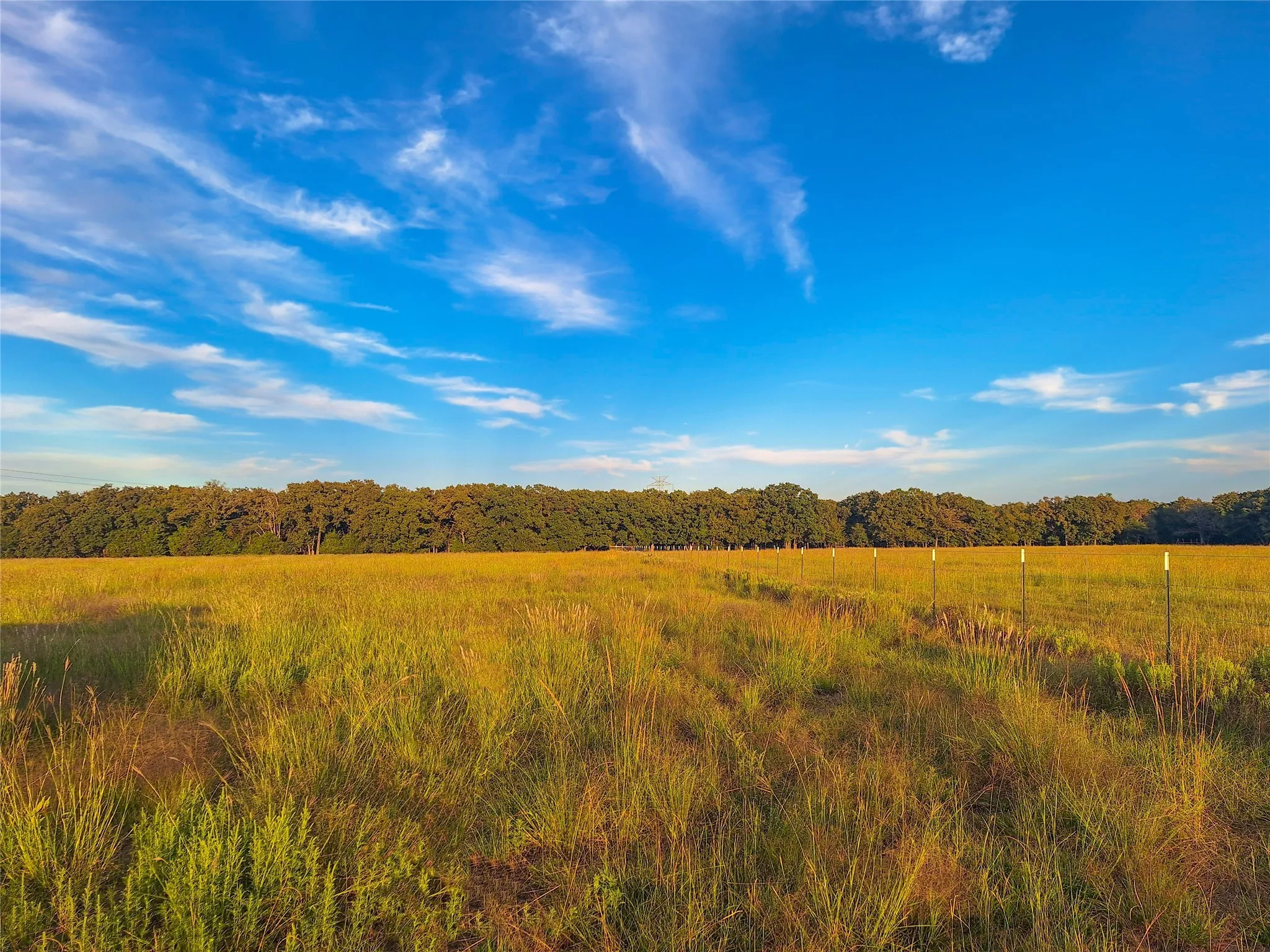 Unimproved Land For Sale in Henderson County , TBD County Road 2147 B, Kemp, Texas 75143, 0, 0, Garage spaces, 0 Sqft, built in 0, mls#21083492, Real Estate Agent in Kemp, Homes For Sale in Henderson county, Homes For Sale in Kemp, Realtor in Kemp Texas, Real Estate Brokerage Independent Realty Texas, Luminita Cordes Realtor