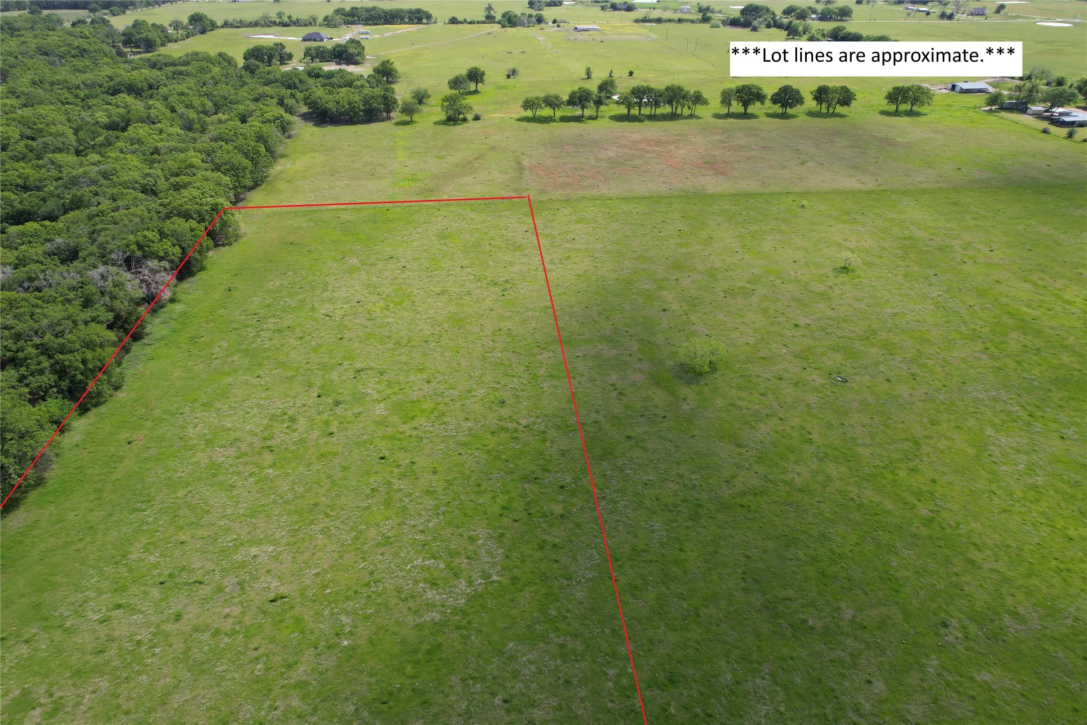 Unimproved Land For Sale in Henderson County , TBD County Road 2147 B, Kemp, Texas 75143, 0, 0, Garage spaces, 0 Sqft, built in 0, mls#21083492, Real Estate Agent in Kemp, Homes For Sale in Henderson county, Homes For Sale in Kemp, Realtor in Kemp Texas, Real Estate Brokerage Independent Realty Texas, Luminita Cordes Realtor