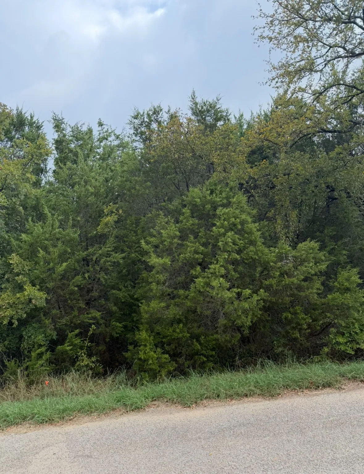 Unimproved Land For Sale in Hood County , 2509 White Oak Trail, Granbury, Texas 76048, 0, 0, Garage spaces, 0 Sqft, built in 0, mls#21083822, Real Estate Agent in Granbury, Homes For Sale in Hood county, Homes For Sale in Granbury, Realtor in Granbury Texas, Real Estate Brokerage Independent Realty Texas, Luminita Cordes Realtor