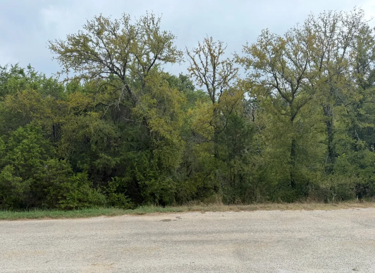 Unimproved Land For Sale in Hood County , 2509 White Oak Trail, Granbury, Texas 76048, 0, 0, Garage spaces, 0 Sqft, built in 0, mls#21083822, Real Estate Agent in Granbury, Homes For Sale in Hood county, Homes For Sale in Granbury, Realtor in Granbury Texas, Real Estate Brokerage Independent Realty Texas, Luminita Cordes Realtor