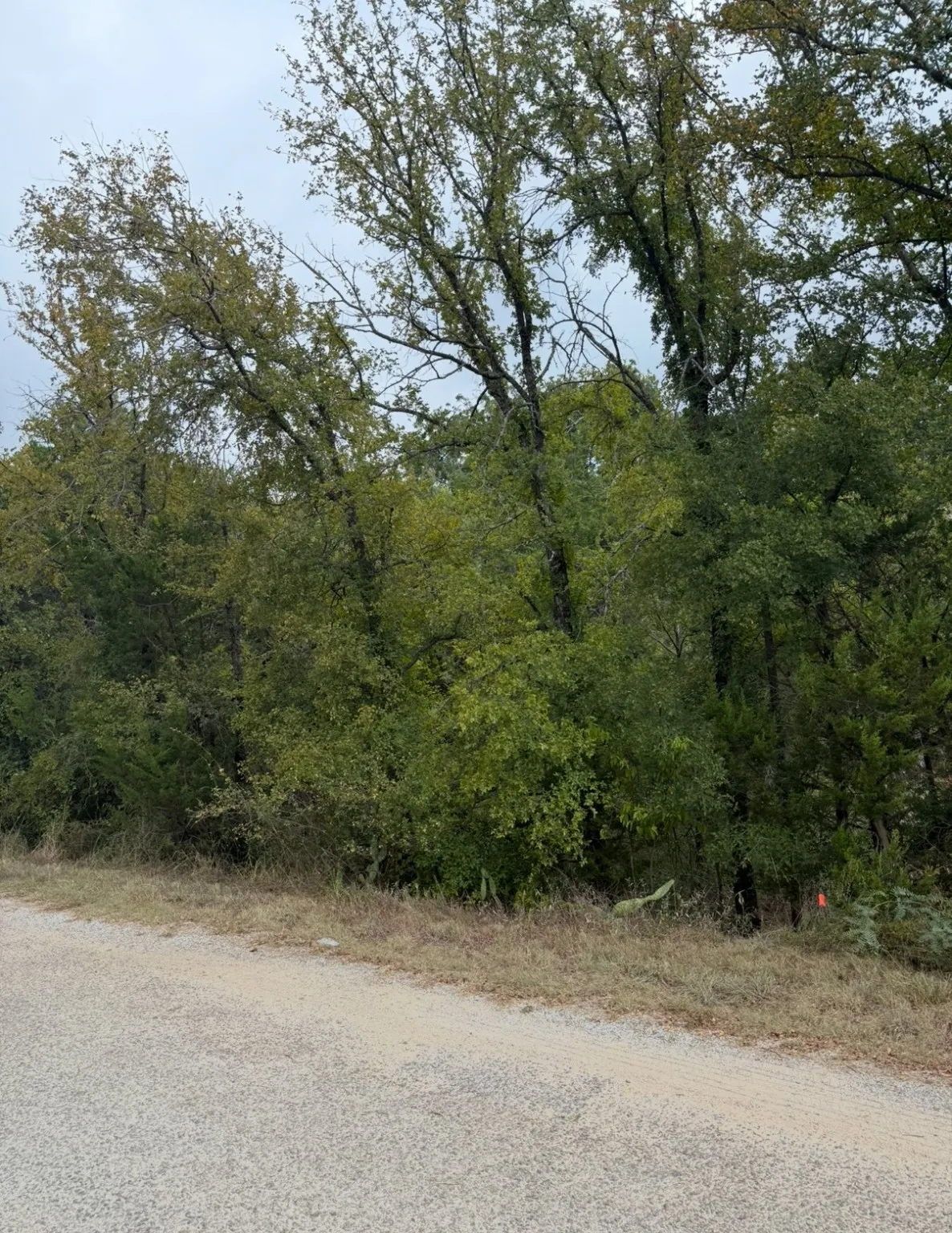Unimproved Land For Sale in Hood County , 2509 White Oak Trail, Granbury, Texas 76048, 0, 0, Garage spaces, 0 Sqft, built in 0, mls#21083822, Real Estate Agent in Granbury, Homes For Sale in Hood county, Homes For Sale in Granbury, Realtor in Granbury Texas, Real Estate Brokerage Independent Realty Texas, Luminita Cordes Realtor