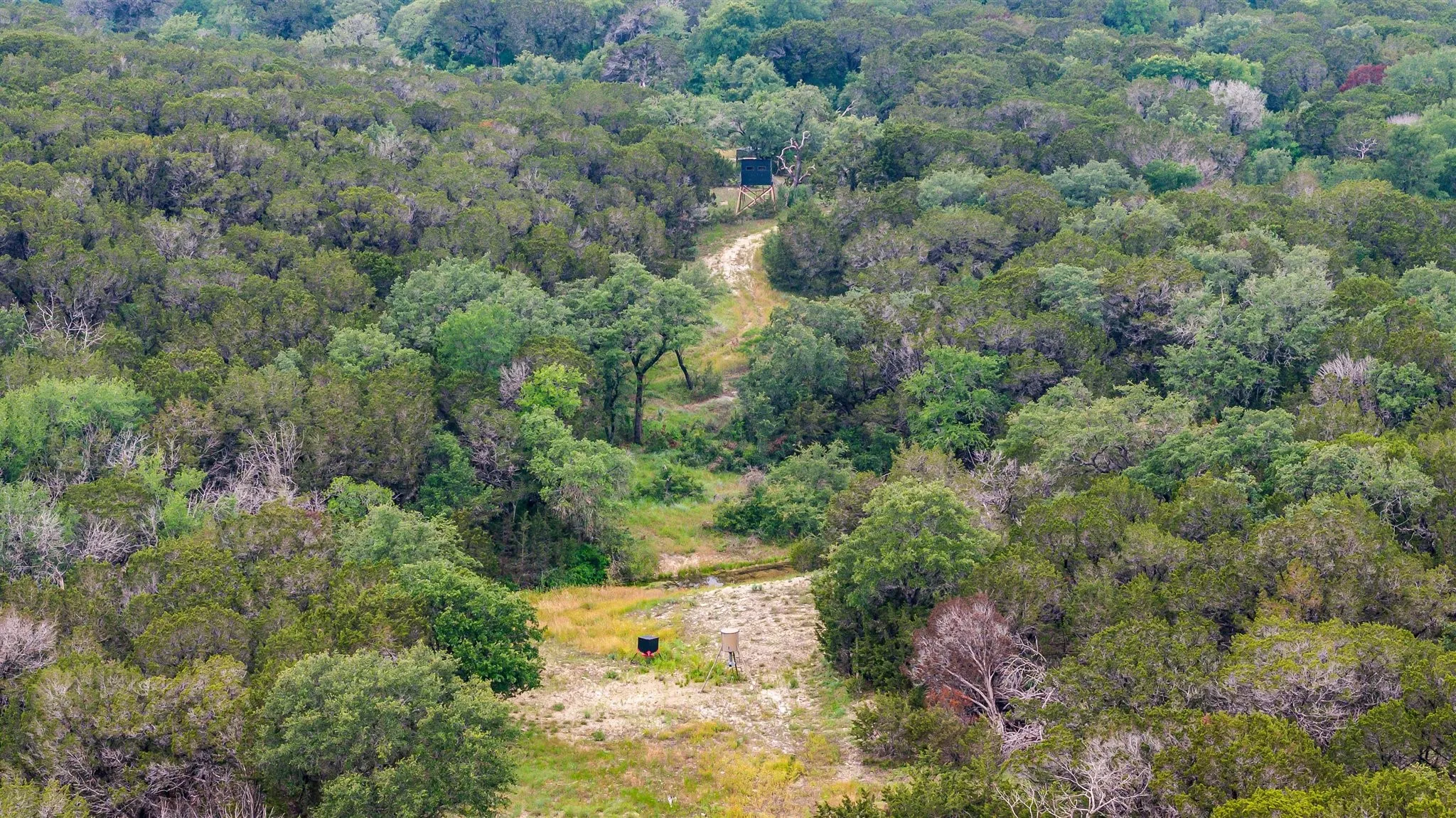 Deer Stand and Feeders