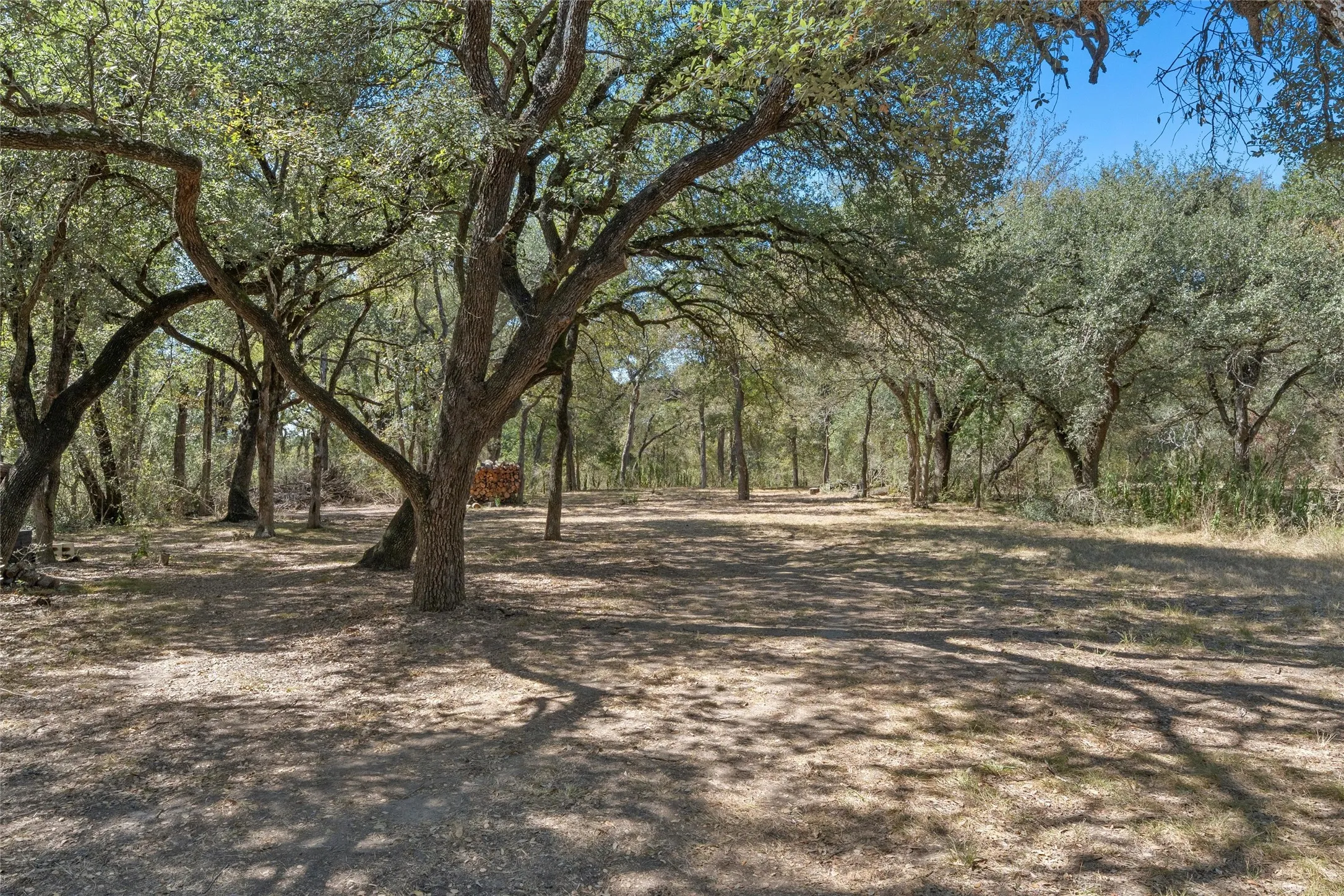 Unimproved Land For Sale in Falls County , 6.754 County Road 473, Lott, Texas 76656, 0, 0, Garage spaces, 0 Sqft, built in 0, mls#21062882, Real Estate Agent in Lott, Homes For Sale in Falls county, Homes For Sale in Lott, Realtor in Lott Texas, Real Estate Brokerage Independent Realty Texas, Luminita Cordes Realtor