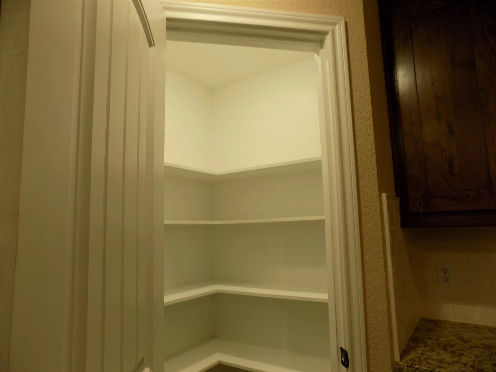 Convenient pantry in kitchen