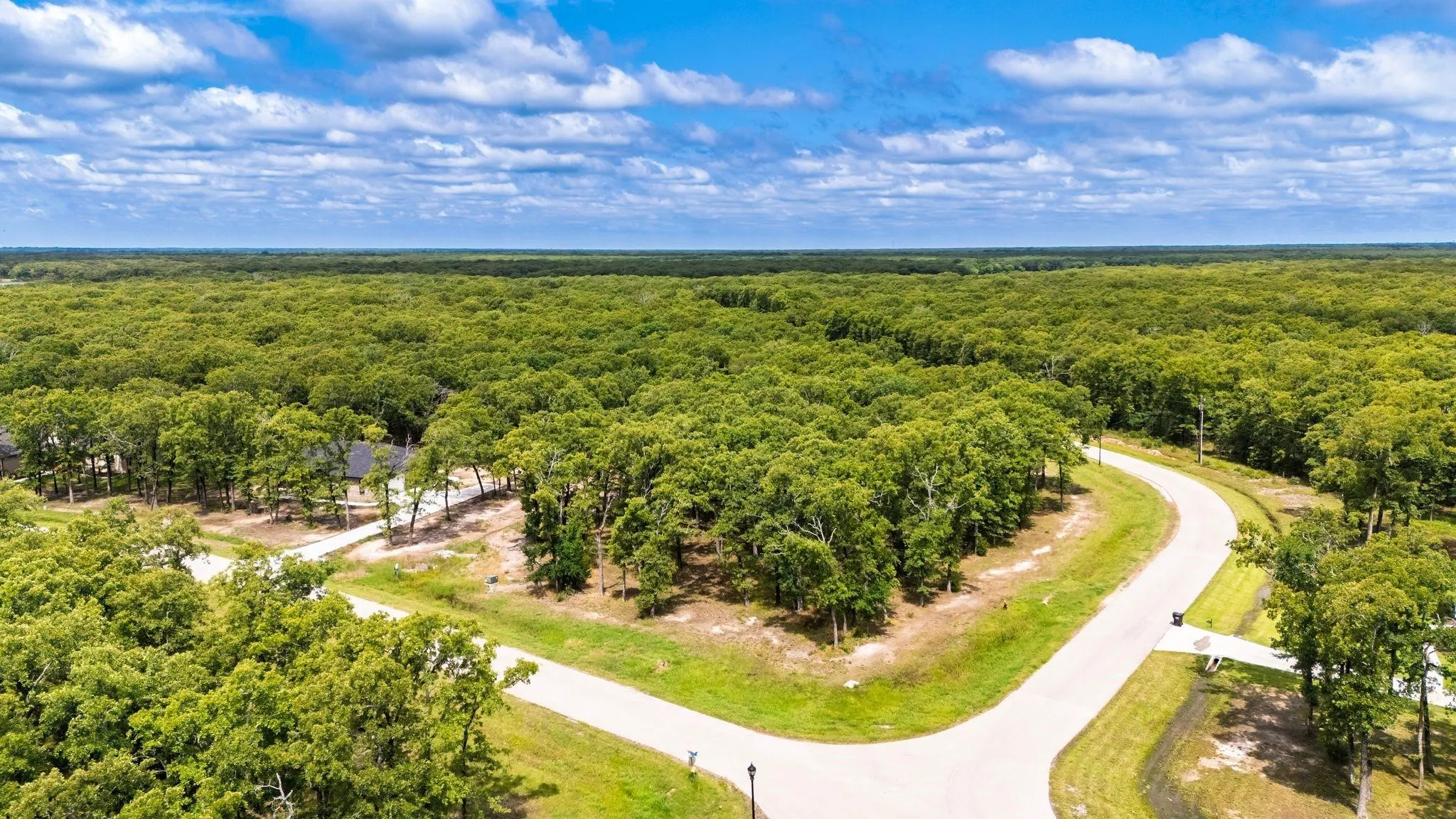 Drone / aerial view of a forest