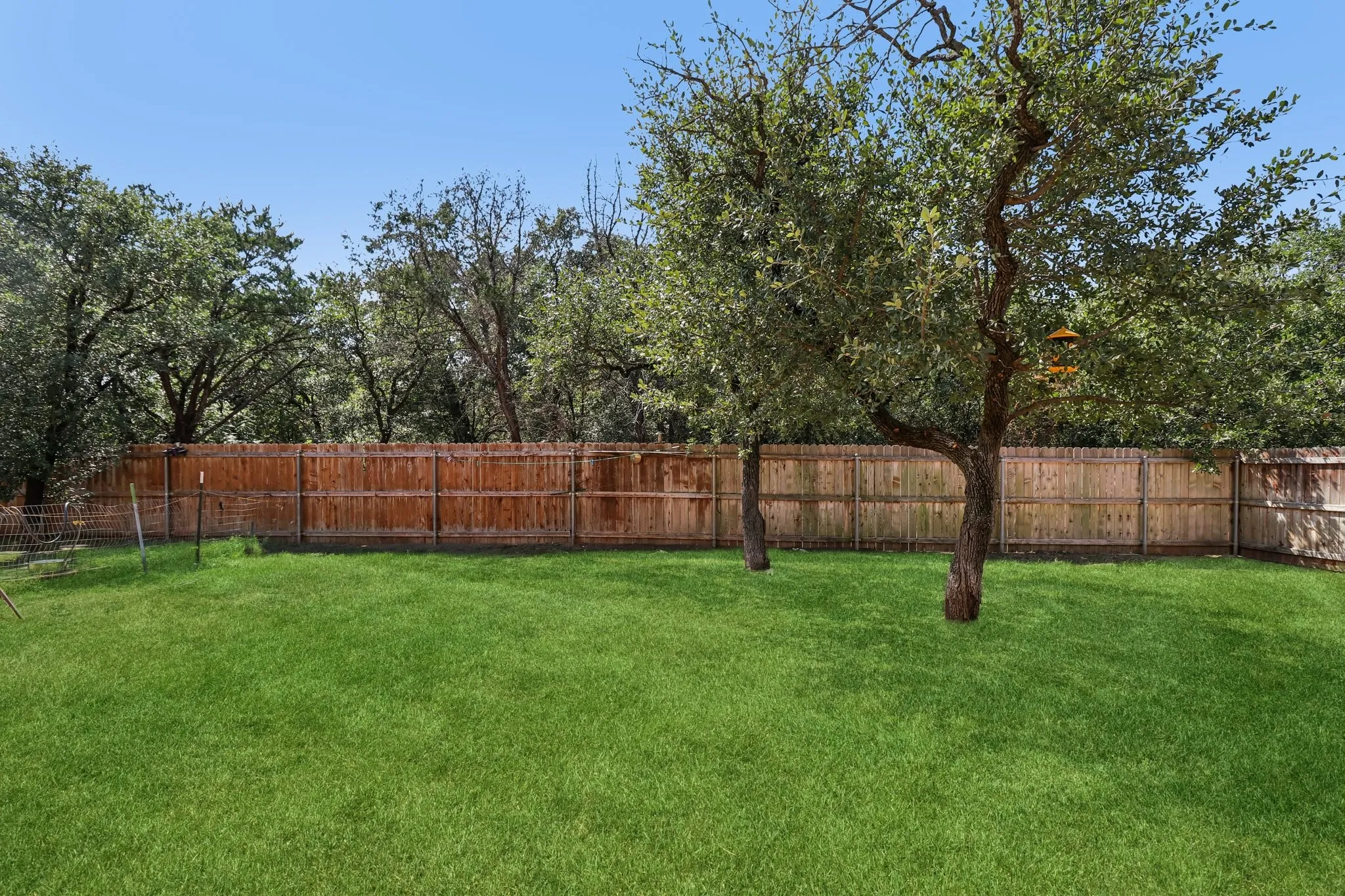 Large fenced backyard