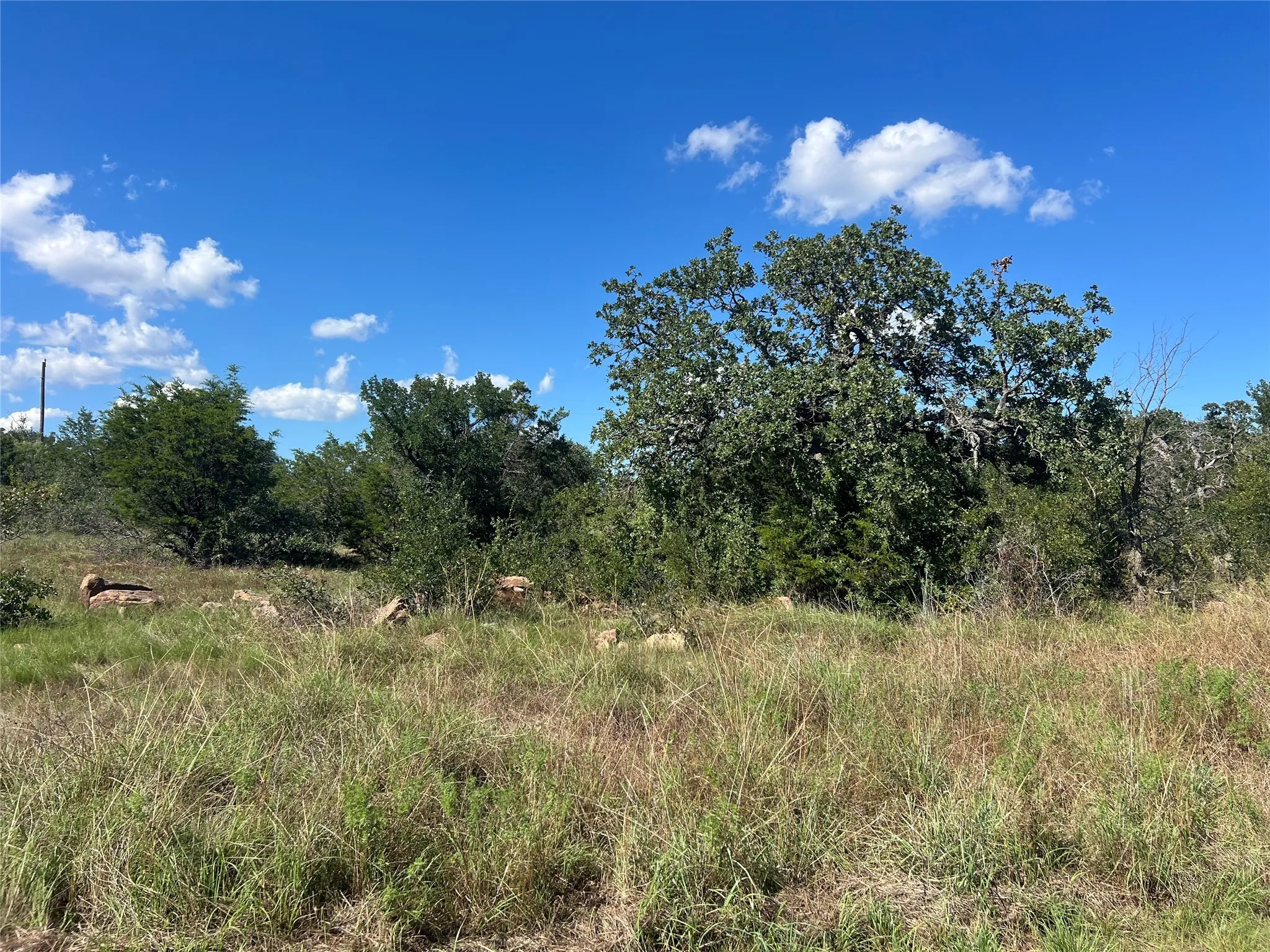 View of undeveloped lot
