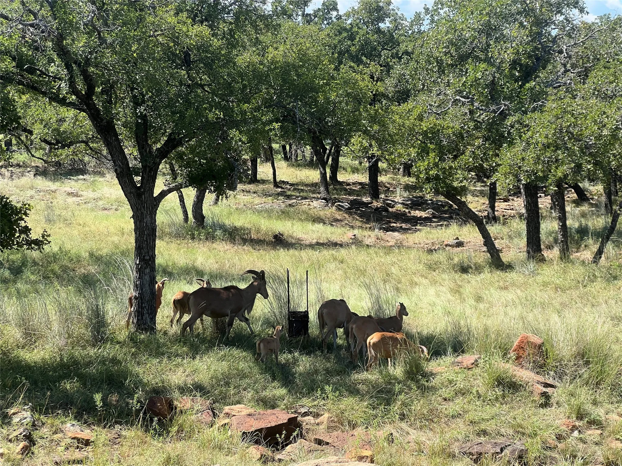 View of local wilderness