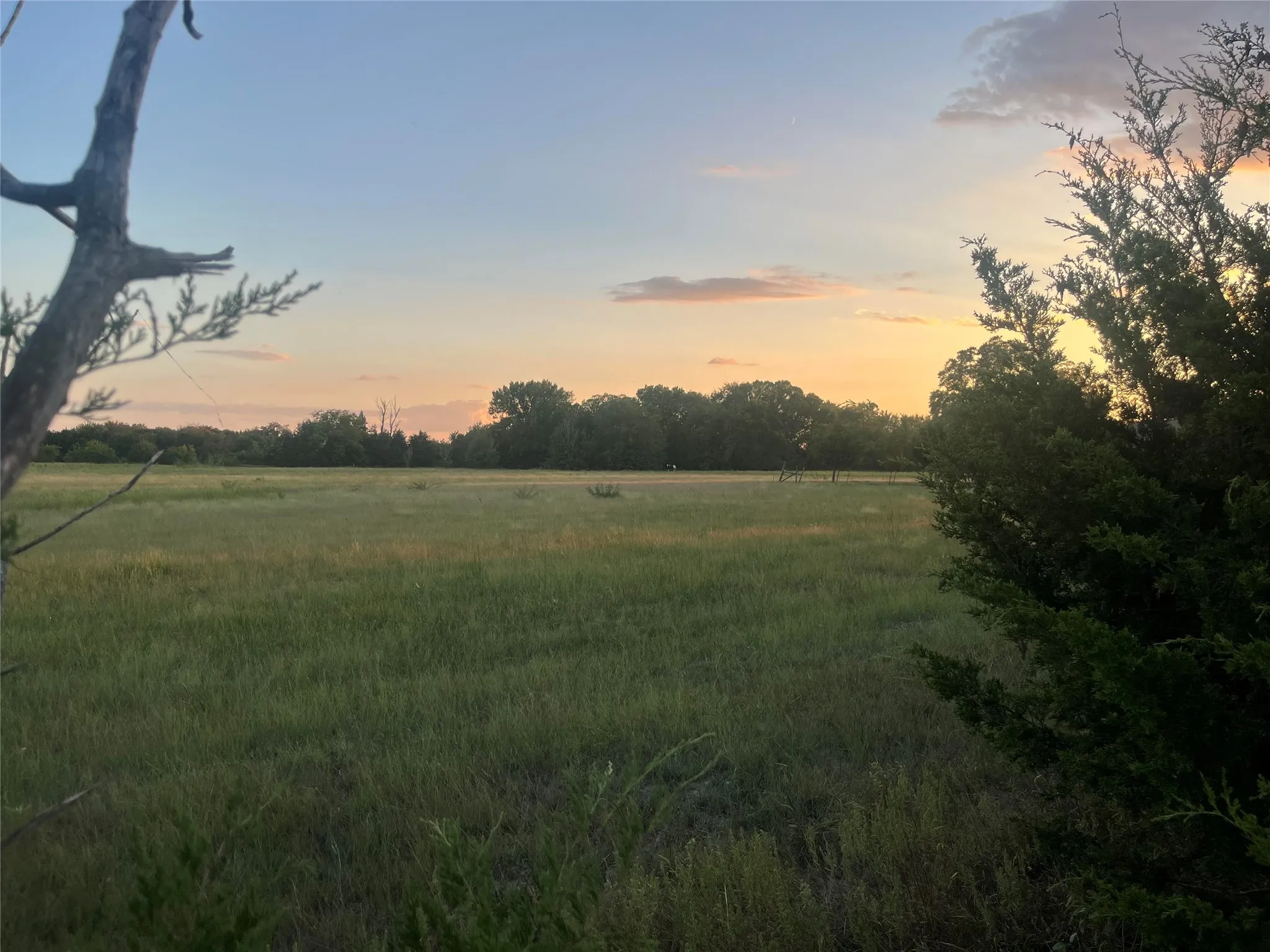 Unimproved Land For Sale in Fannin County , 000 FM 273, Bonham, Texas 75418, 0, 0, Garage spaces, 0 Sqft, built in 0, mls#21082697, Real Estate Agent in Bonham, Homes For Sale in Fannin county, Homes For Sale in Bonham, Realtor in Bonham Texas, Real Estate Brokerage Independent Realty Texas, Luminita Cordes Realtor