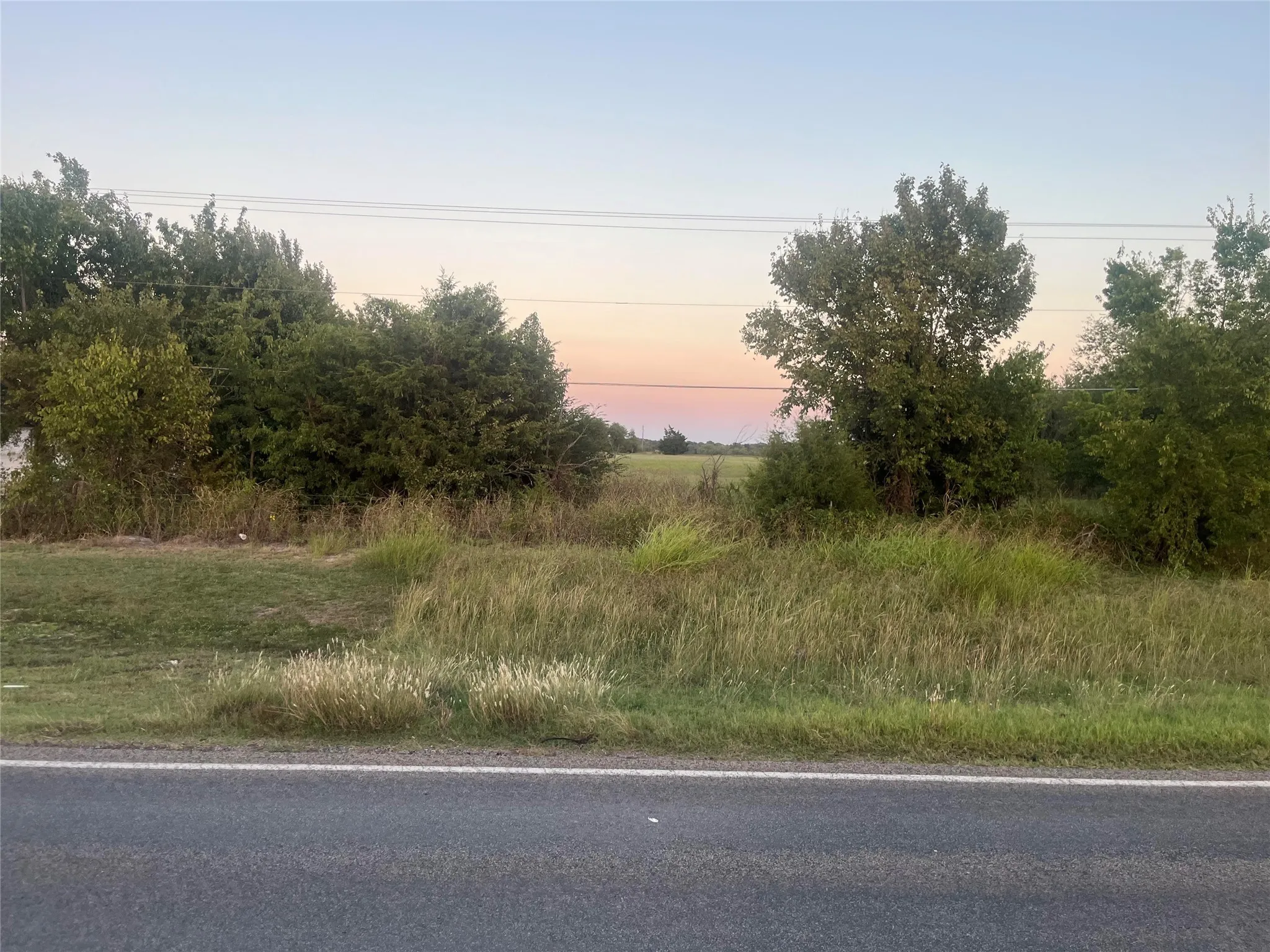 View of local wilderness
