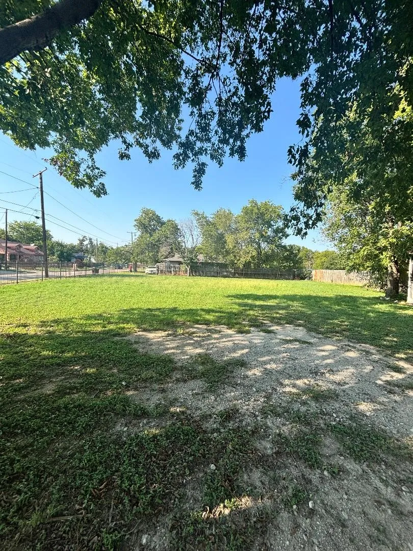back yard