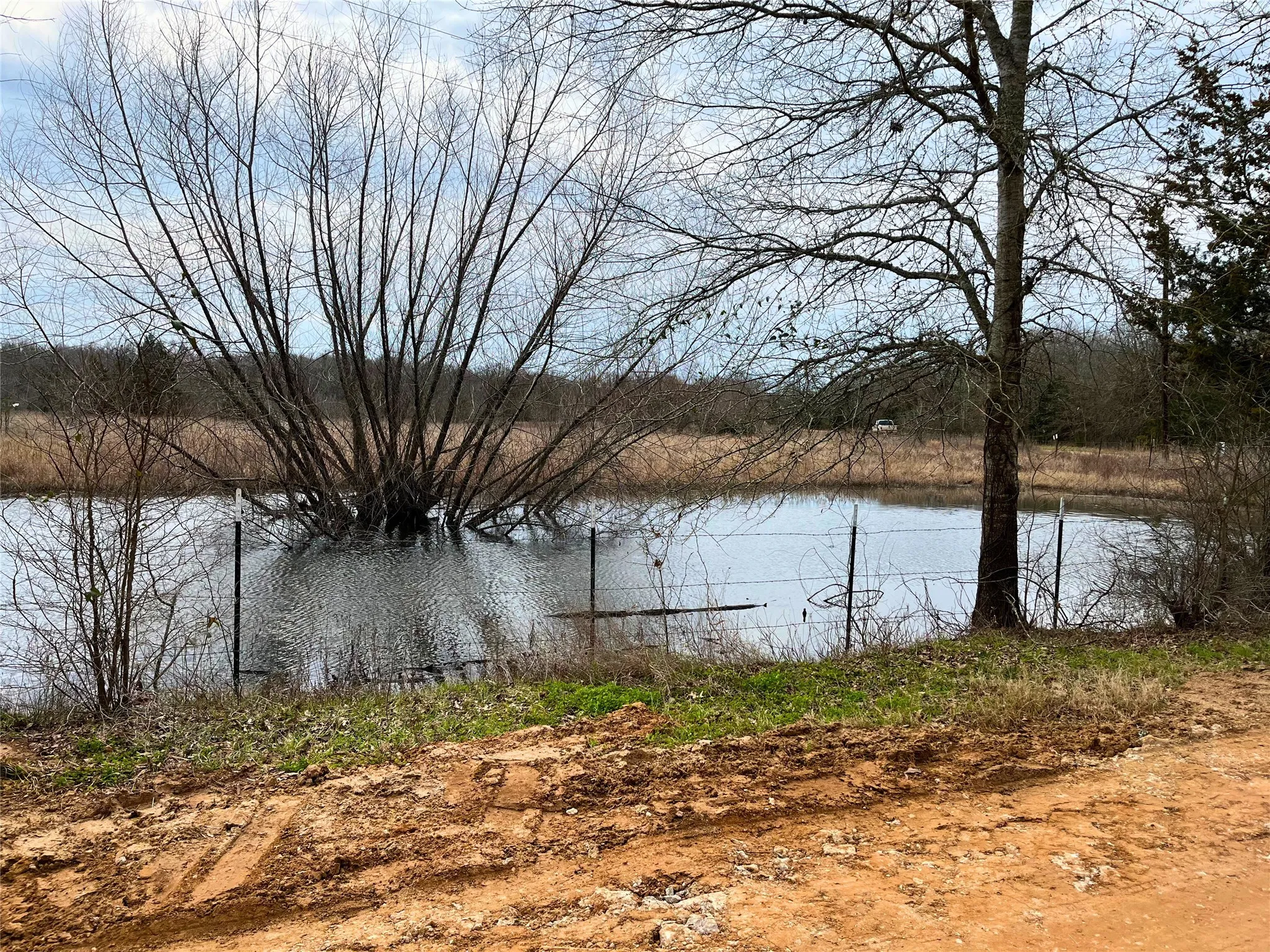 pond view