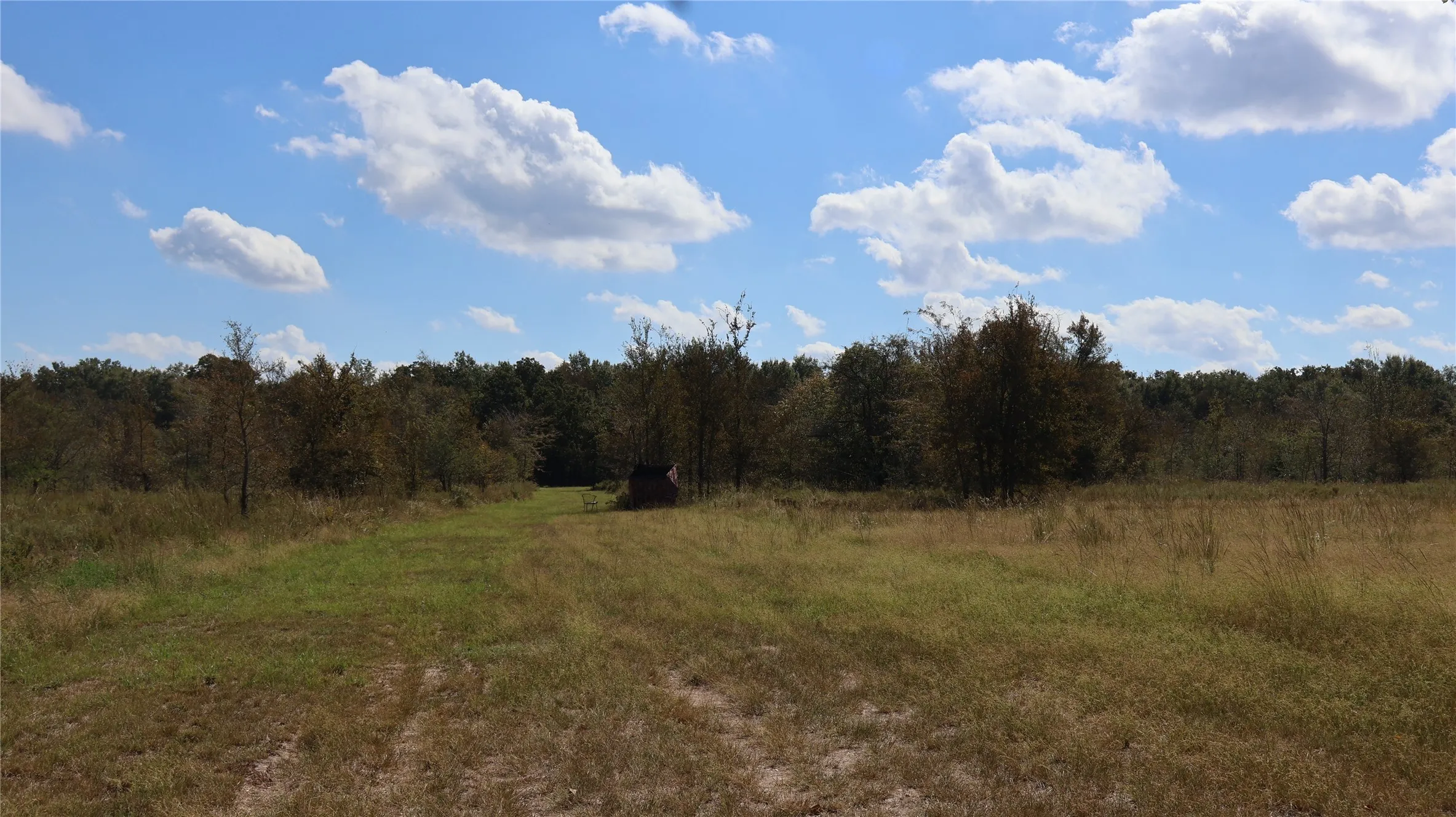 View of woods featuring a view of rural / pastoral area