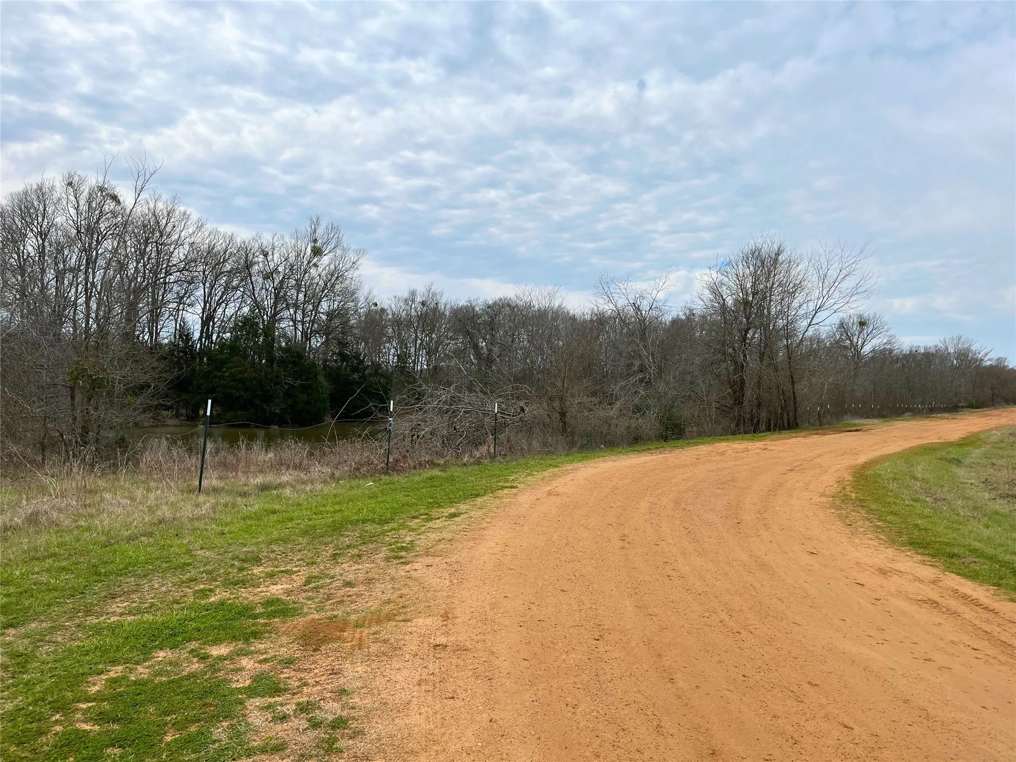 View of dirt / gravel road with a view of trees