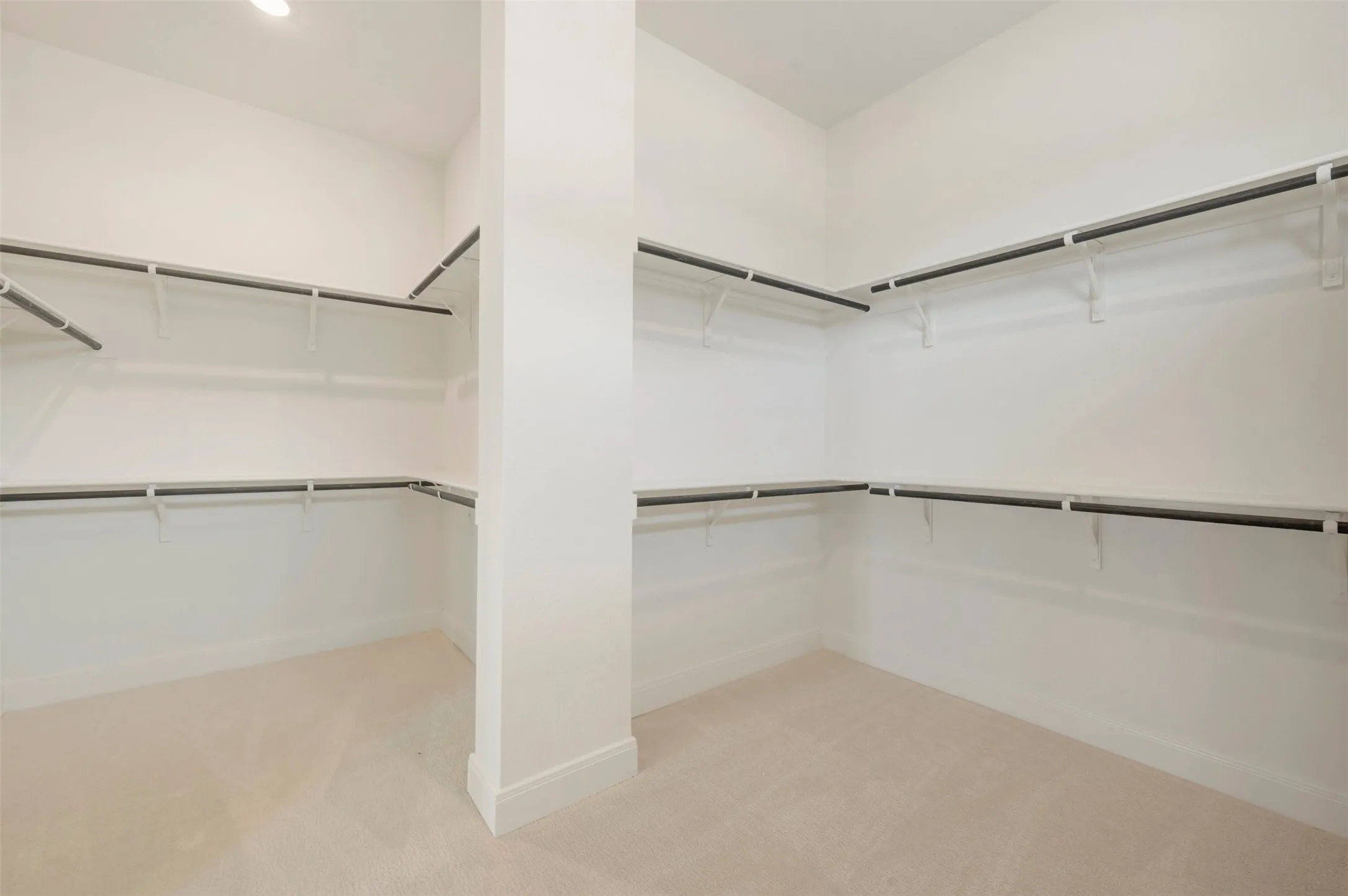 Spacious walk-in closet featuring white walls, light-colored carpeting, multiple shelving units, and clothing rods