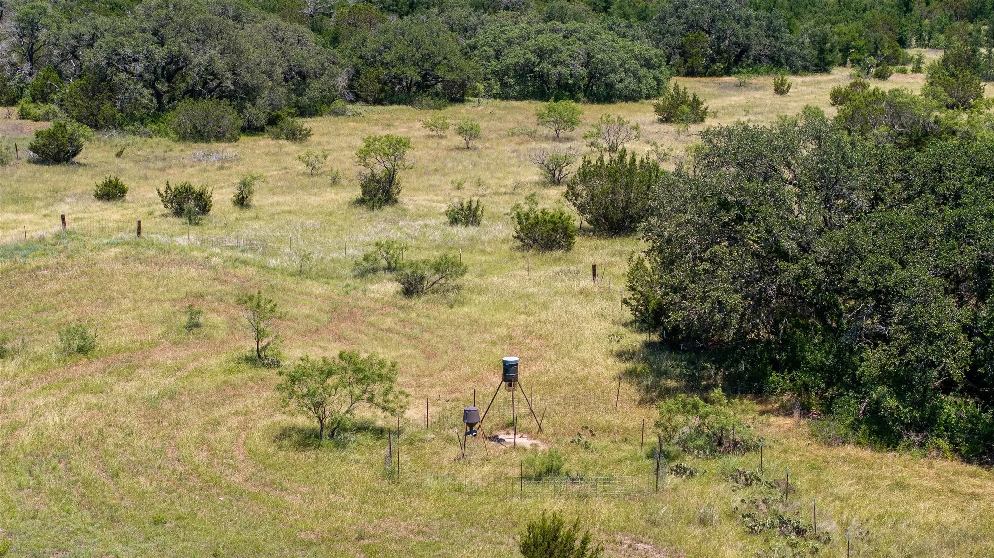 Ranch For Sale in Comanche County , 170+/- ac TBD County Road 386, Carlton, Texas 76436, 0, 0, Garage spaces, 0 Sqft, built in 0, mls#21085861, Real Estate Agent in Carlton, Homes For Sale in Comanche county, Homes For Sale in Carlton, Realtor in Carlton Texas, Real Estate Brokerage Independent Realty Texas, Luminita Cordes Realtor