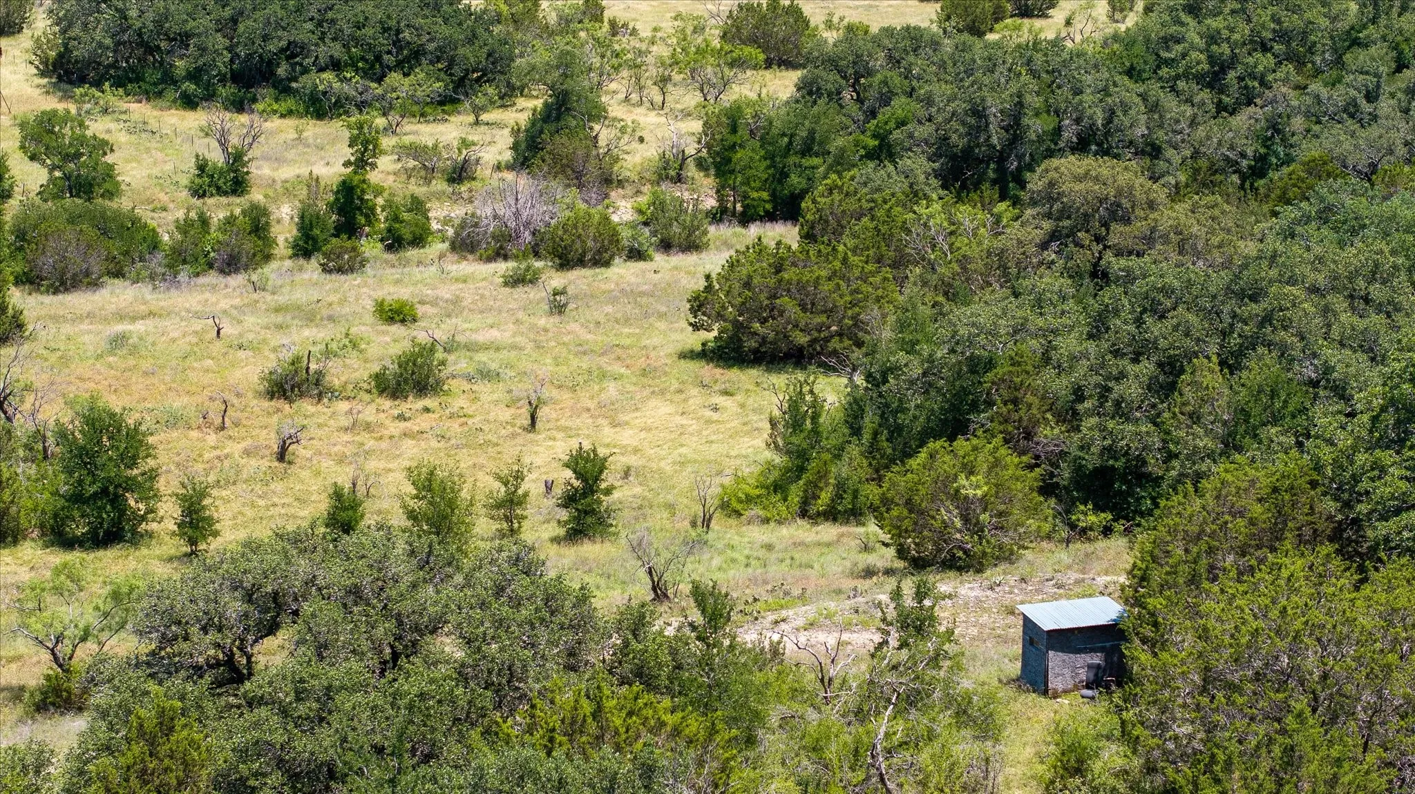 Ranch For Sale in Comanche County , 170+/- ac TBD County Road 386, Carlton, Texas 76436, 0, 0, Garage spaces, 0 Sqft, built in 0, mls#21085861, Real Estate Agent in Carlton, Homes For Sale in Comanche county, Homes For Sale in Carlton, Realtor in Carlton Texas, Real Estate Brokerage Independent Realty Texas, Luminita Cordes Realtor
