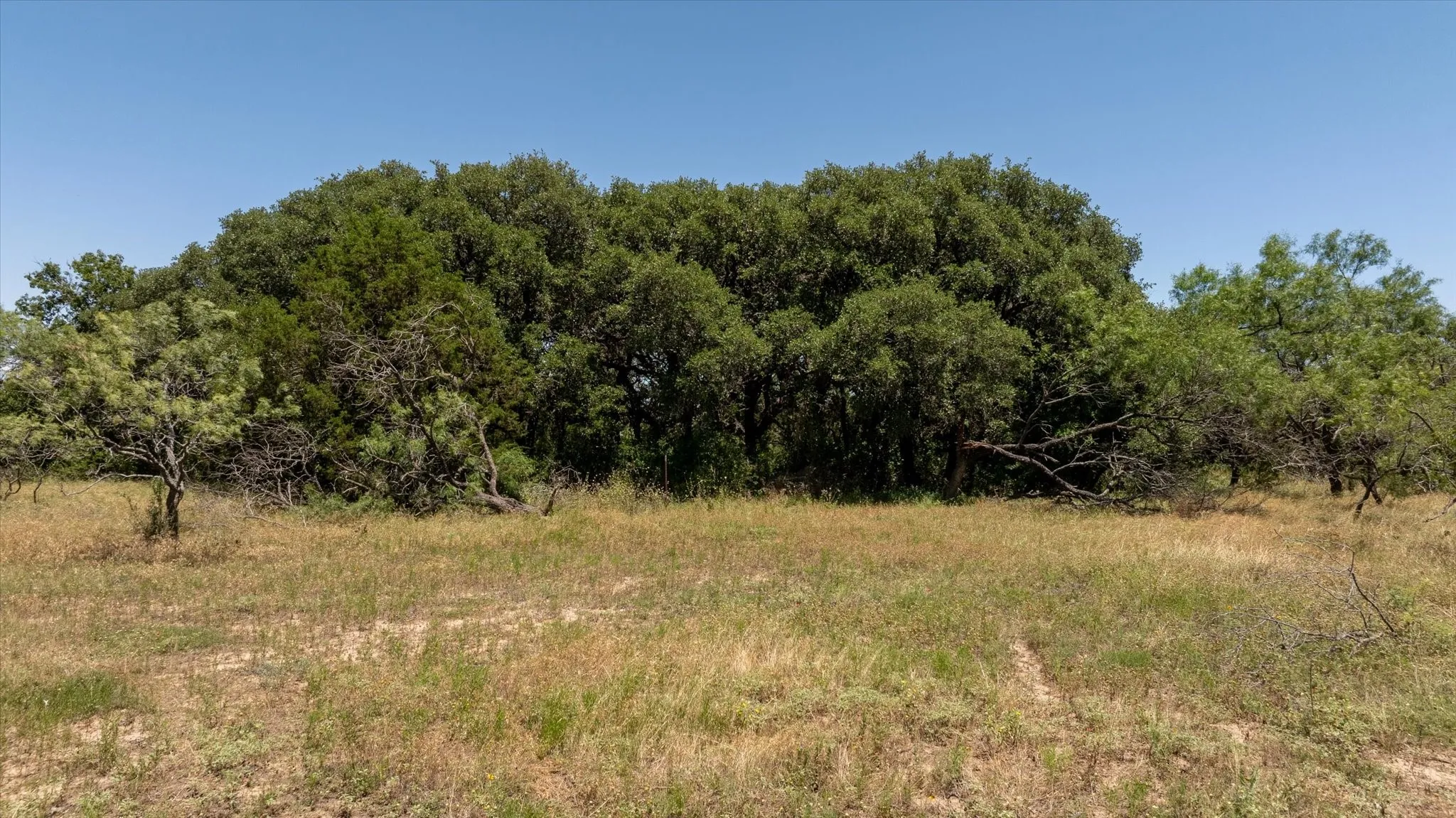 Ranch For Sale in Comanche County , 170+/- ac TBD County Road 386, Carlton, Texas 76436, 0, 0, Garage spaces, 0 Sqft, built in 0, mls#21085861, Real Estate Agent in Carlton, Homes For Sale in Comanche county, Homes For Sale in Carlton, Realtor in Carlton Texas, Real Estate Brokerage Independent Realty Texas, Luminita Cordes Realtor