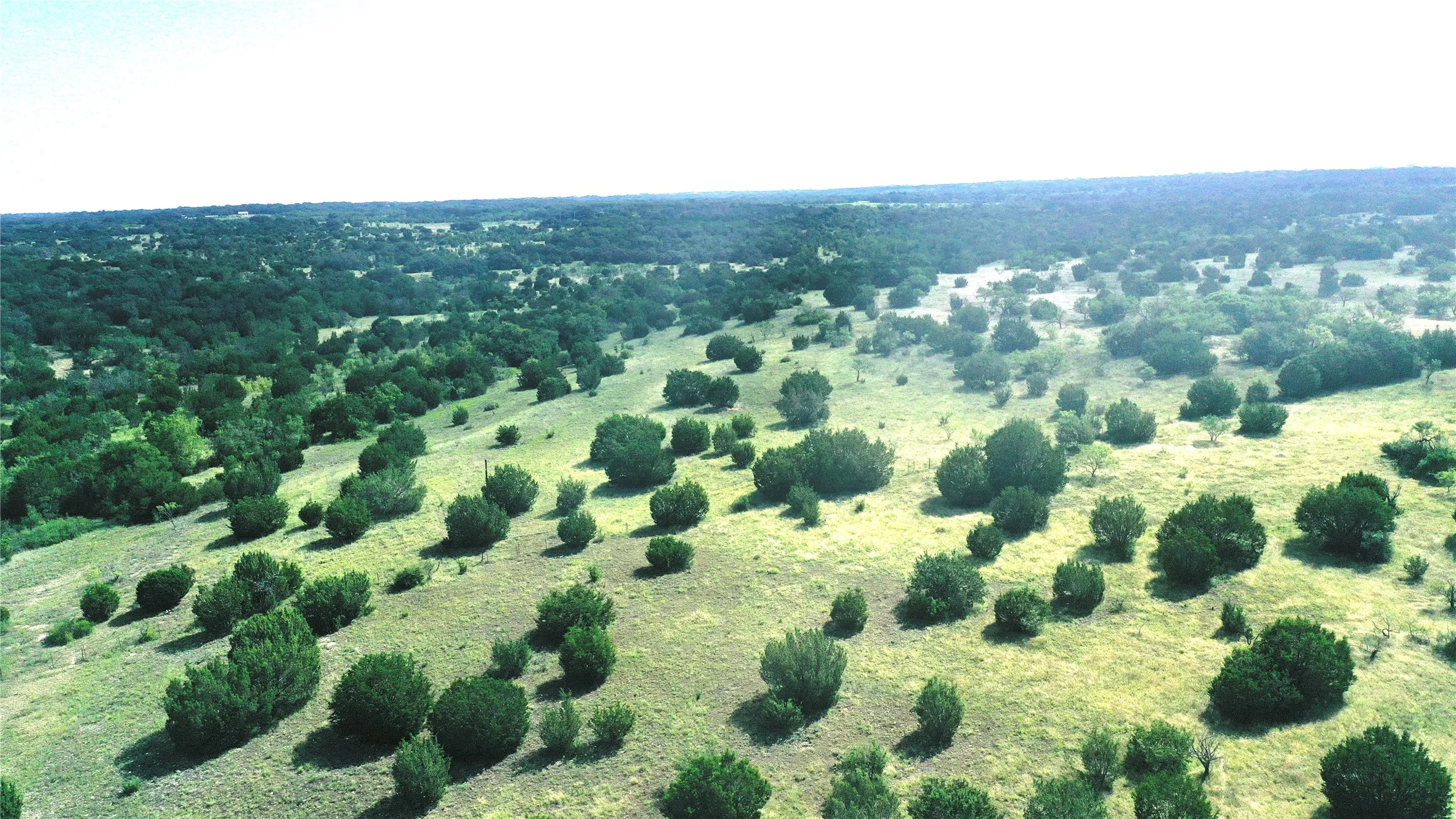 Ranch For Sale in Comanche County , 170+/- ac TBD County Road 386, Carlton, Texas 76436, 0, 0, Garage spaces, 0 Sqft, built in 0, mls#21085861, Real Estate Agent in Carlton, Homes For Sale in Comanche county, Homes For Sale in Carlton, Realtor in Carlton Texas, Real Estate Brokerage Independent Realty Texas, Luminita Cordes Realtor