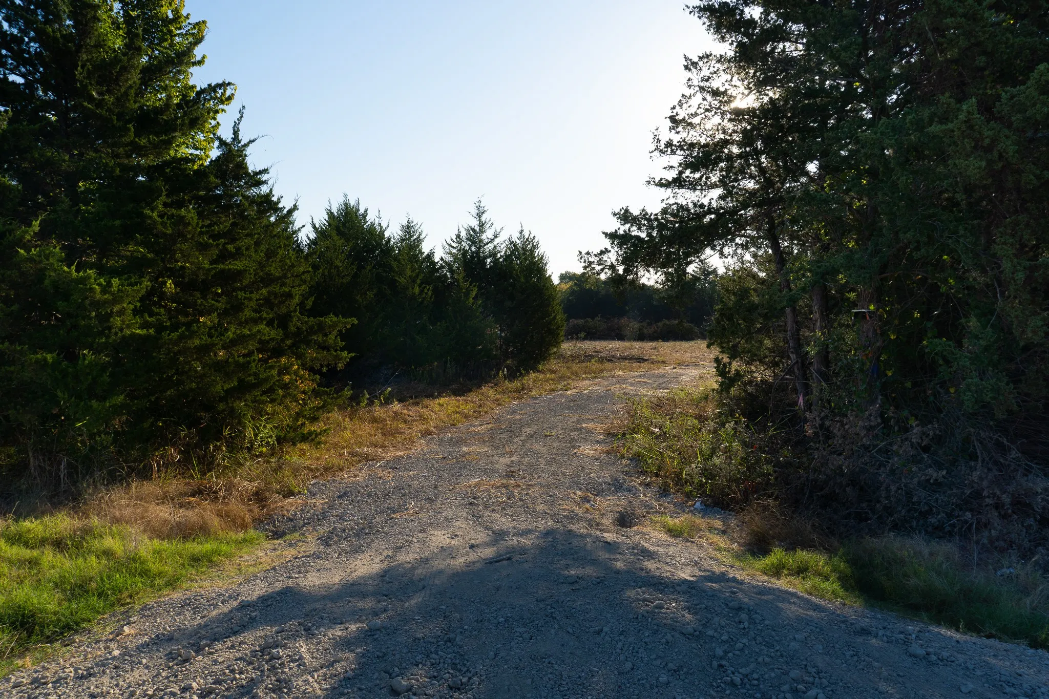View of road