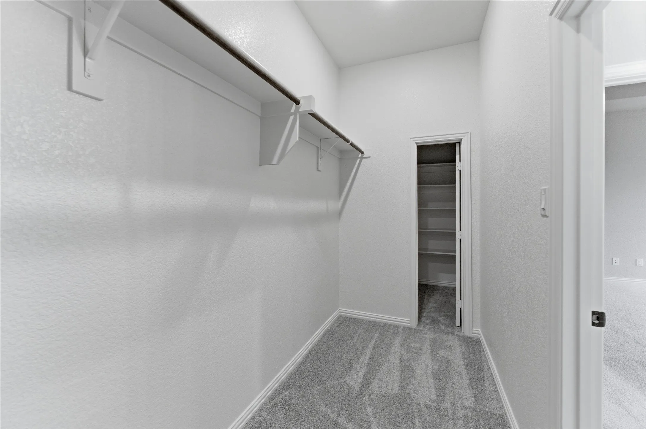 Walk in closet with light carpet
