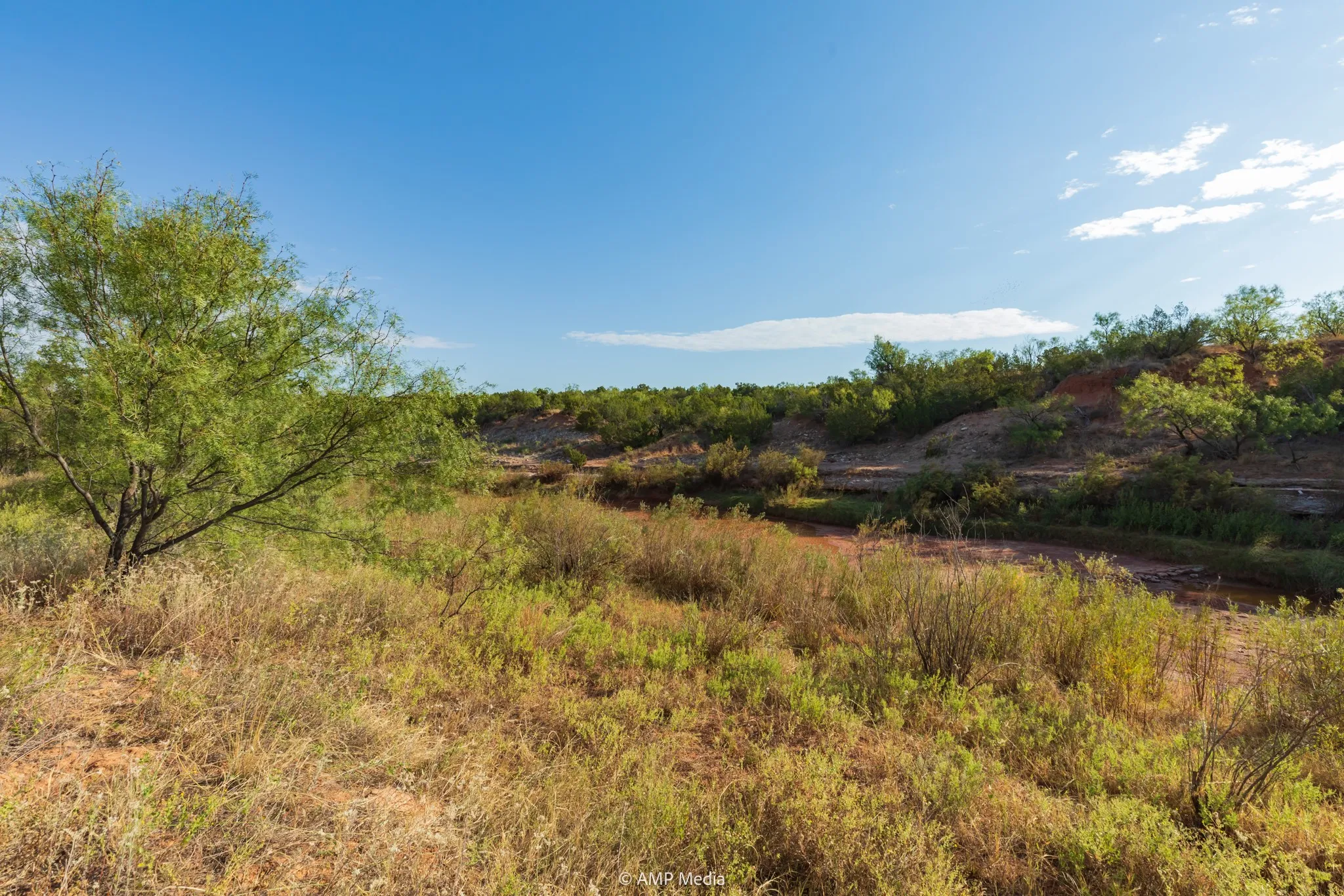 Ranch For Sale in Stonewall County , TBD CR 107, Aspermont, Texas 79502, 0, 0, Garage spaces, 0 Sqft, built in 0, mls#21086517, Real Estate Agent in Aspermont, Homes For Sale in Stonewall county, Homes For Sale in Aspermont, Realtor in Aspermont Texas, Real Estate Brokerage Independent Realty Texas, Luminita Cordes Realtor