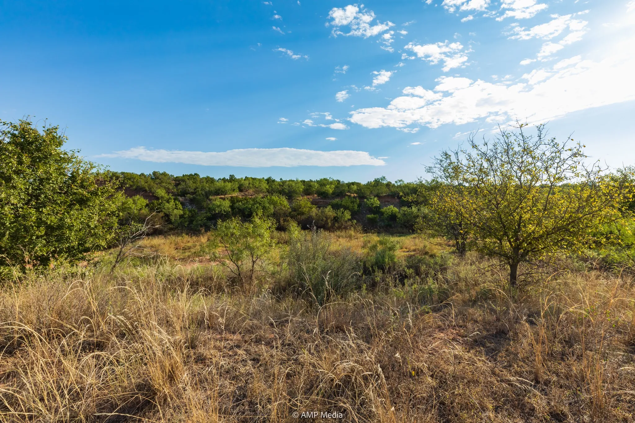 Ranch For Sale in Stonewall County , TBD CR 107, Aspermont, Texas 79502, 0, 0, Garage spaces, 0 Sqft, built in 0, mls#21086517, Real Estate Agent in Aspermont, Homes For Sale in Stonewall county, Homes For Sale in Aspermont, Realtor in Aspermont Texas, Real Estate Brokerage Independent Realty Texas, Luminita Cordes Realtor